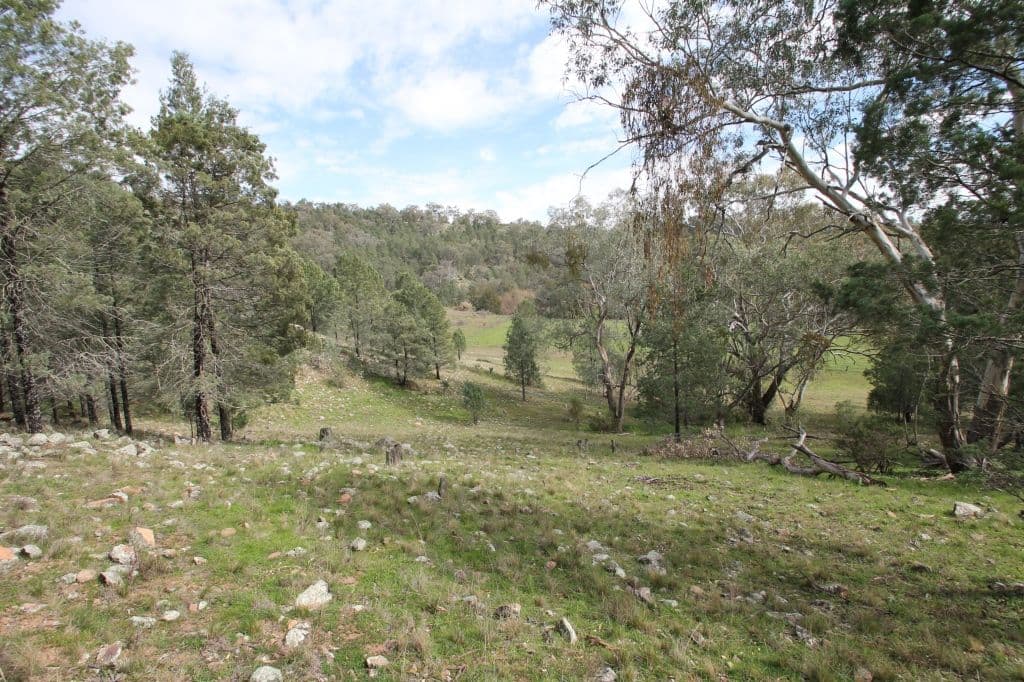 Lot 12 Grandview Place, Quirindi NSW 2343, Quirindi - Image 1