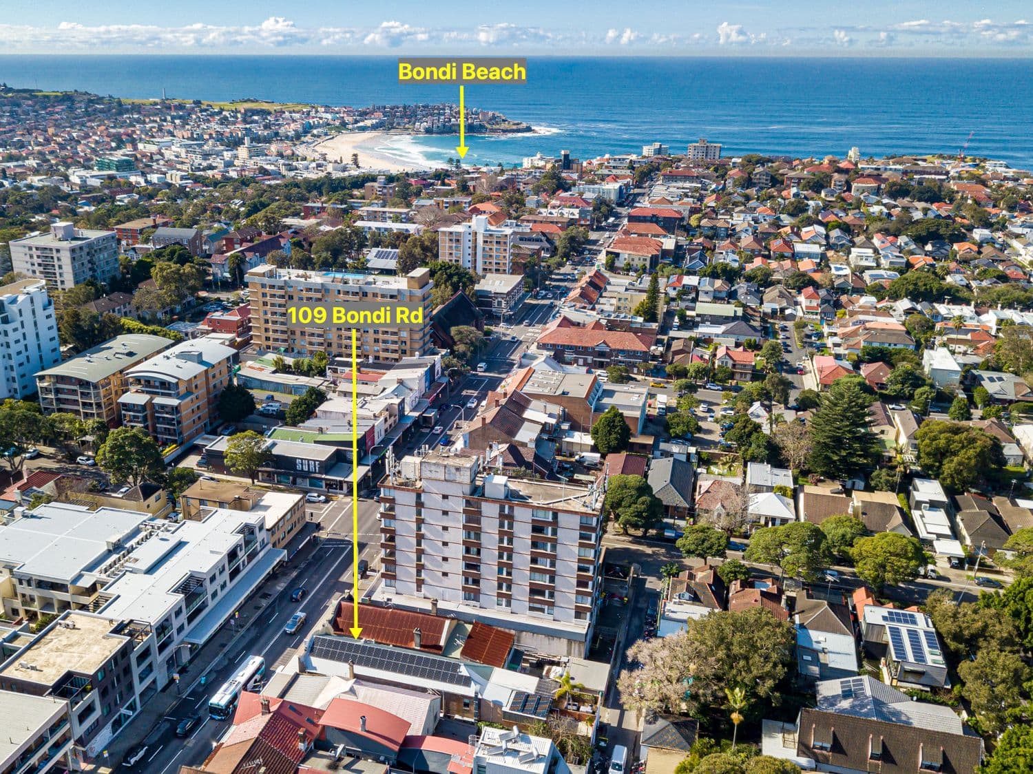 109 Bondi Road, Bondi NSW 2026, Bondi - Image 1