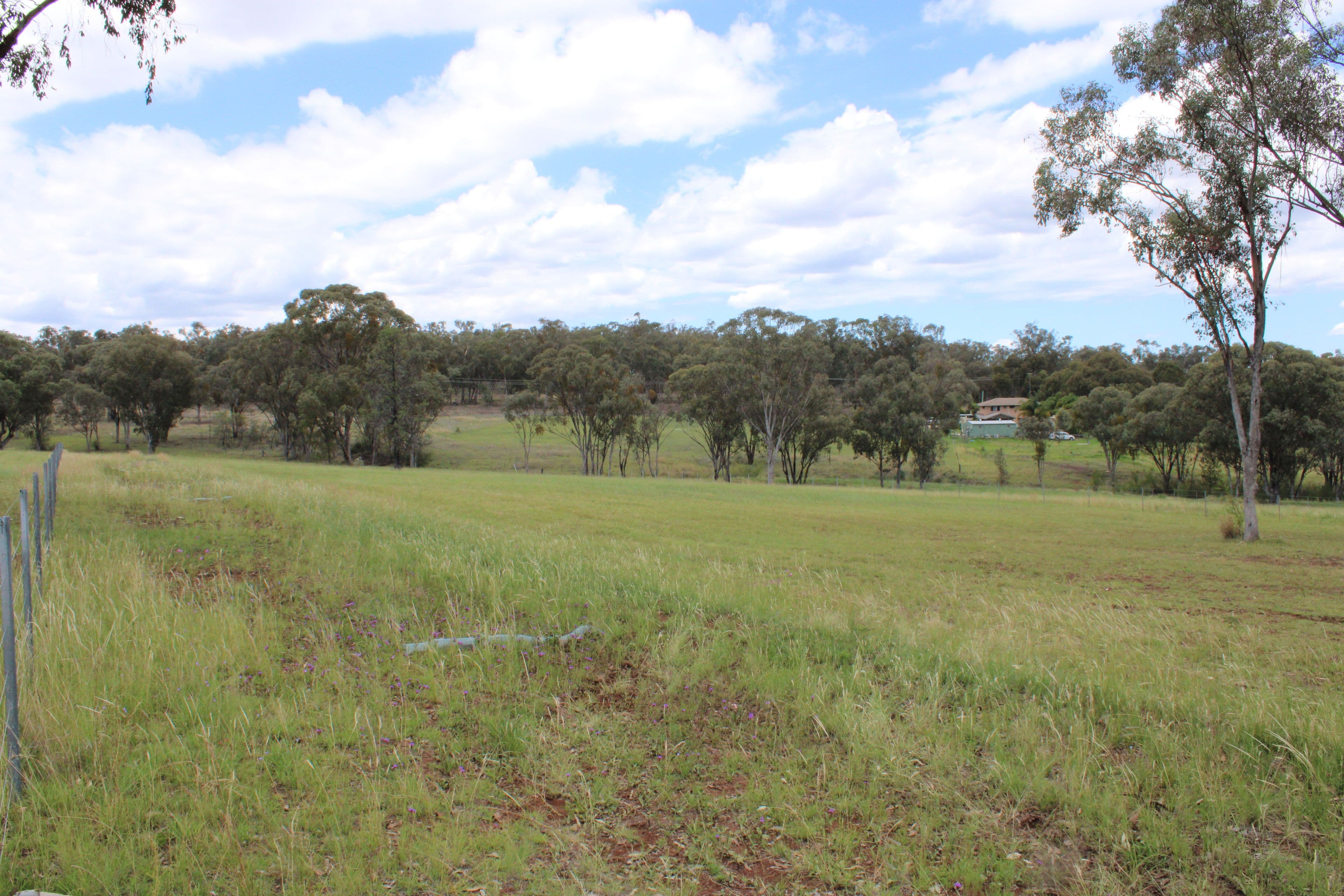 66 Bimbadeen Drive, Inverell NSW 2360, Inverell - Image 1