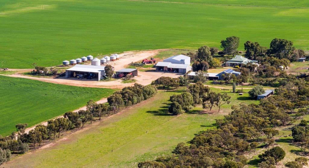 'Homestead' 11148 Mallee Highway, Parilla SA 5303, Parilla - Image 1