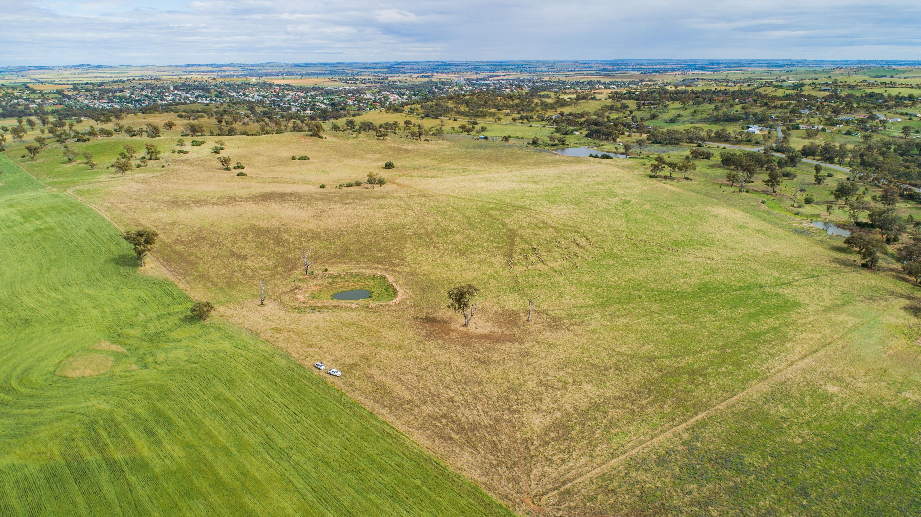5919 Gundagai Road, Junee NSW 2663, Junee - Image 1