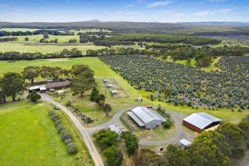 125 Souths Road, Grenville VIC 3352, Grenville - Image 1