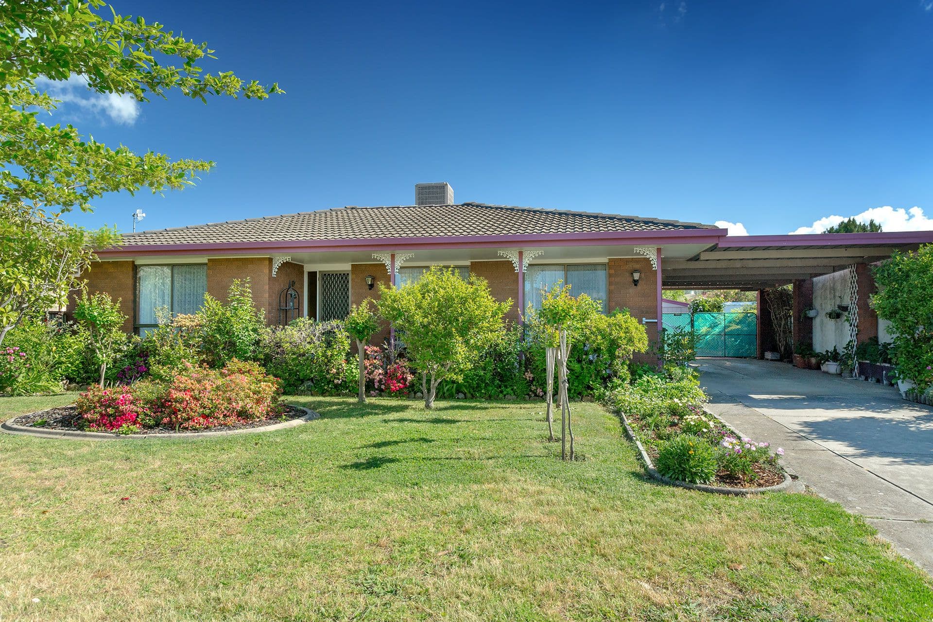 438 Schaefer Street, Lavington - Image 1