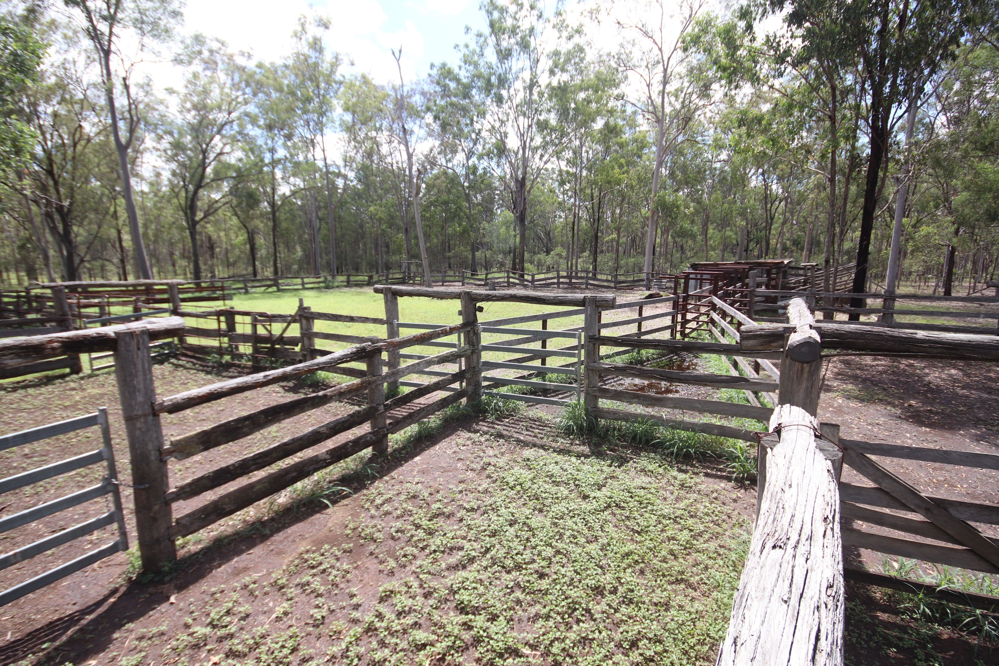 'Greentree' Mundubbera-Durong Road, Mundubbera QLD 4626, Mundubbera - Image 1