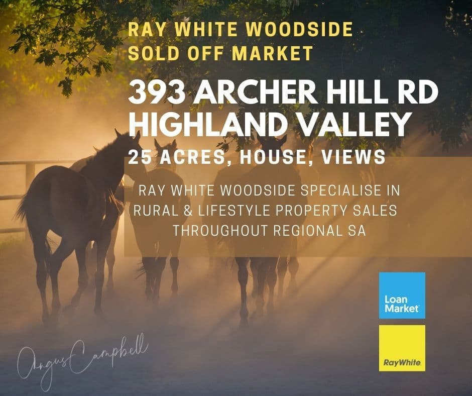 393 Archer Hill Road, Highland Valley SA 5255, Highland Valley - Image 1