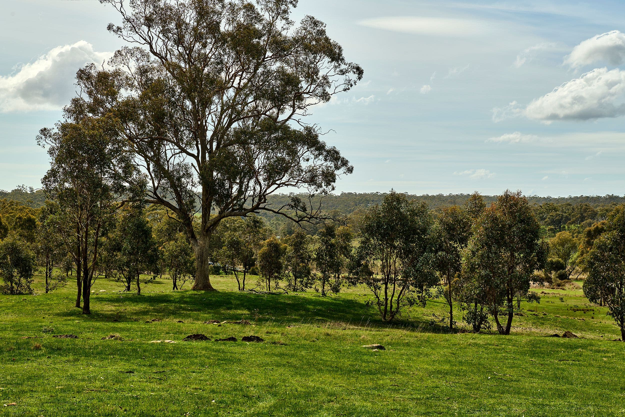545 Spring Flat Road, Mia Mia VIC 3444, Mia Mia - Image 1