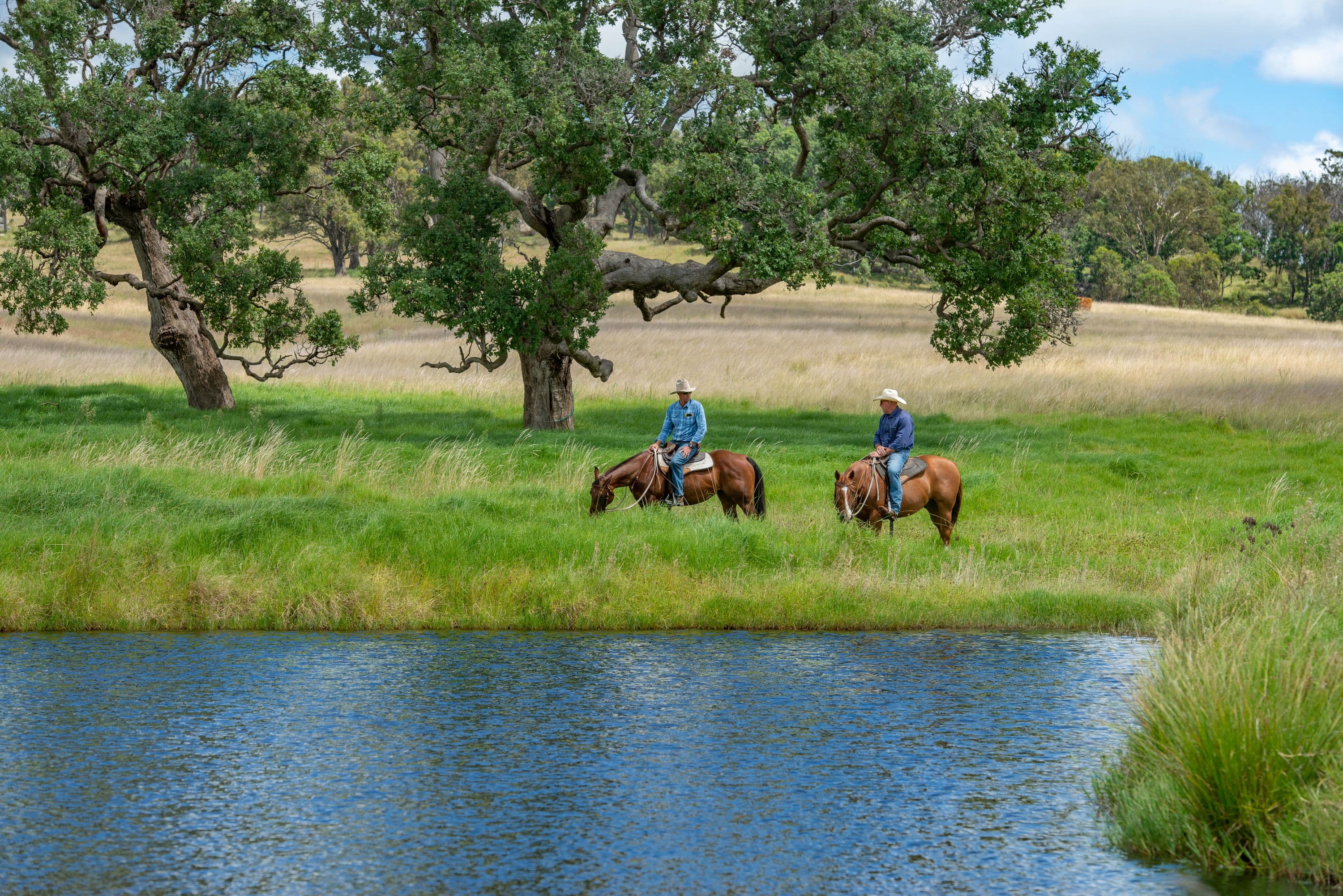 5966 Mount Lindesay Road, Liston NSW 2372, Liston - Image 1