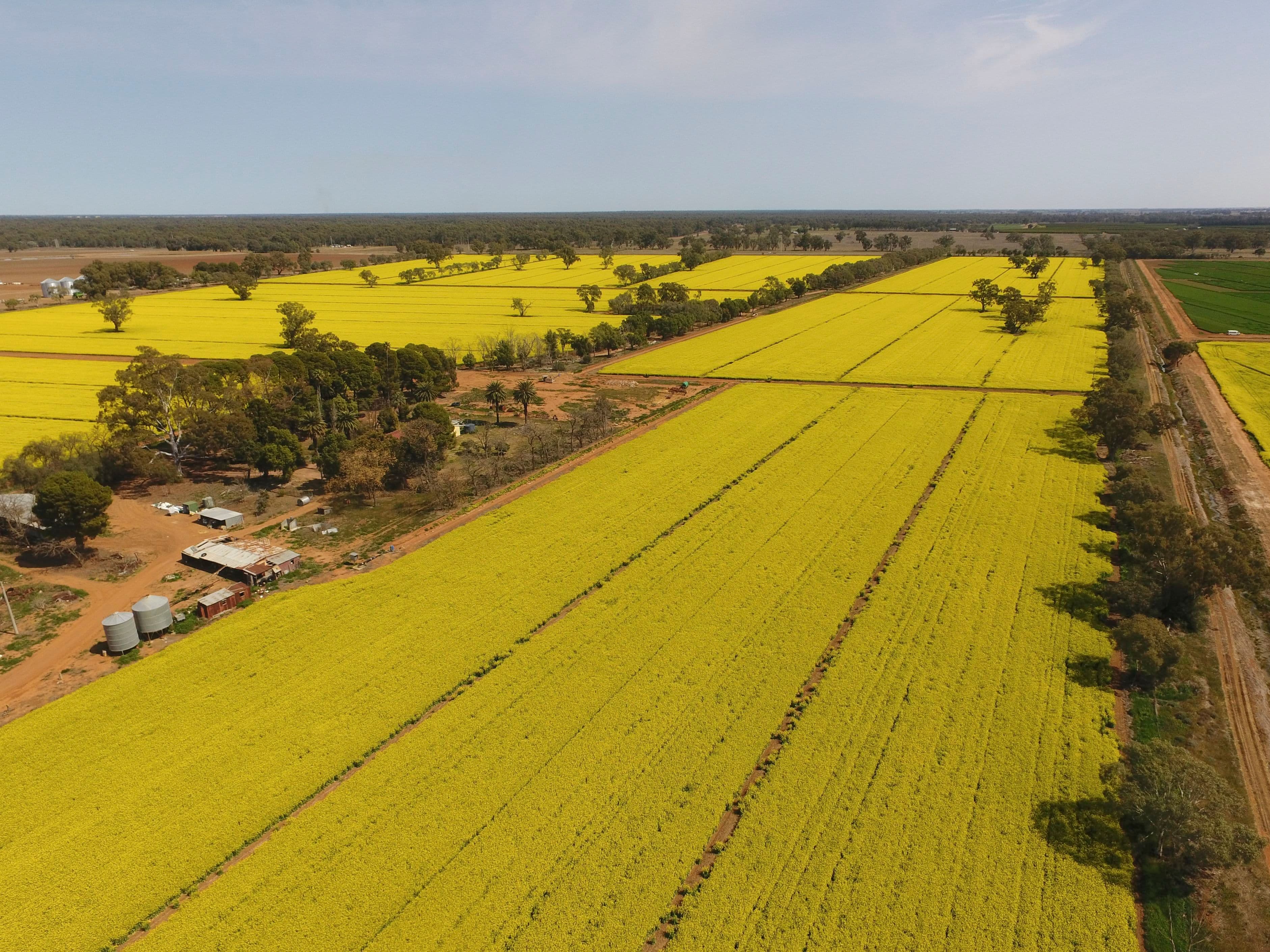 Yanco NSW 2703, Yanco - Image 1