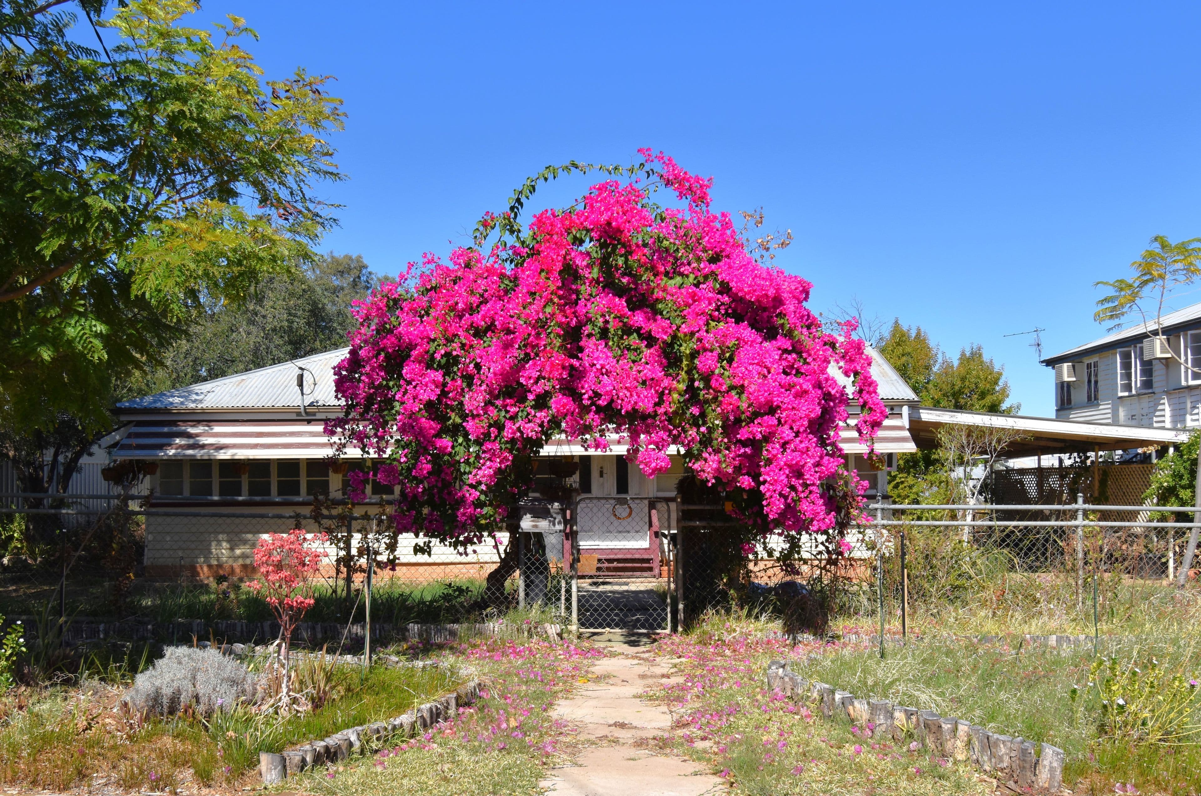 9 Quail Street, Longreach QLD 4730, Longreach - Image 1