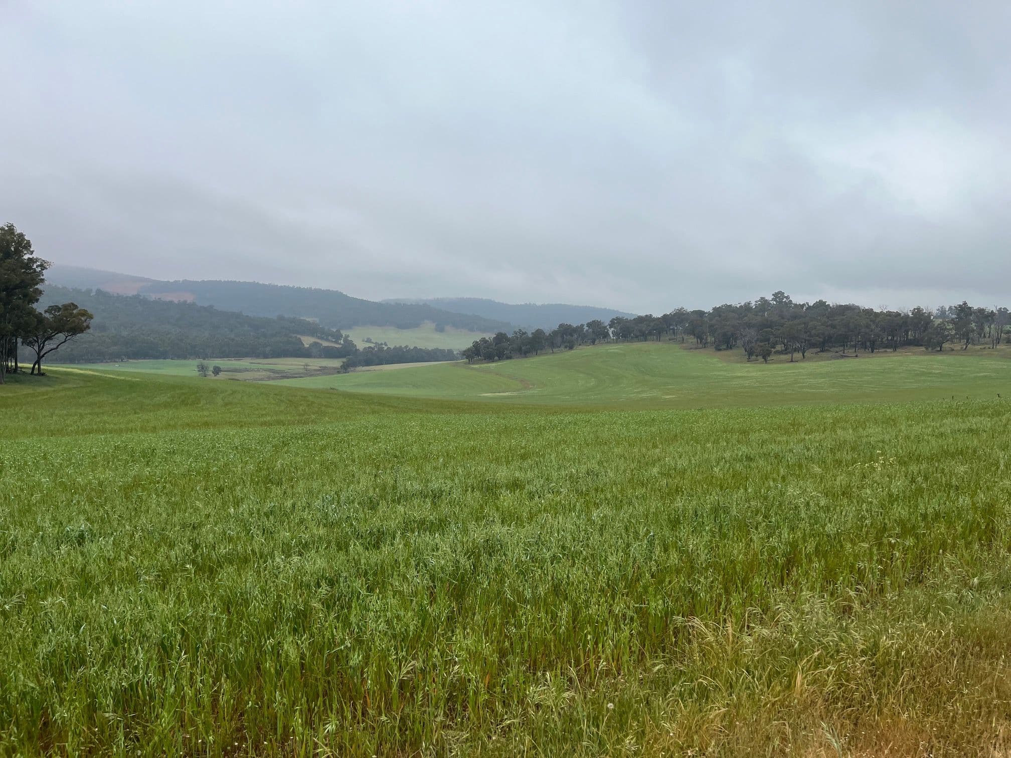 Bullet Holdings, Lower Hotham Road, Lower Hotham WA 6390, Lower Hotham - Image 1