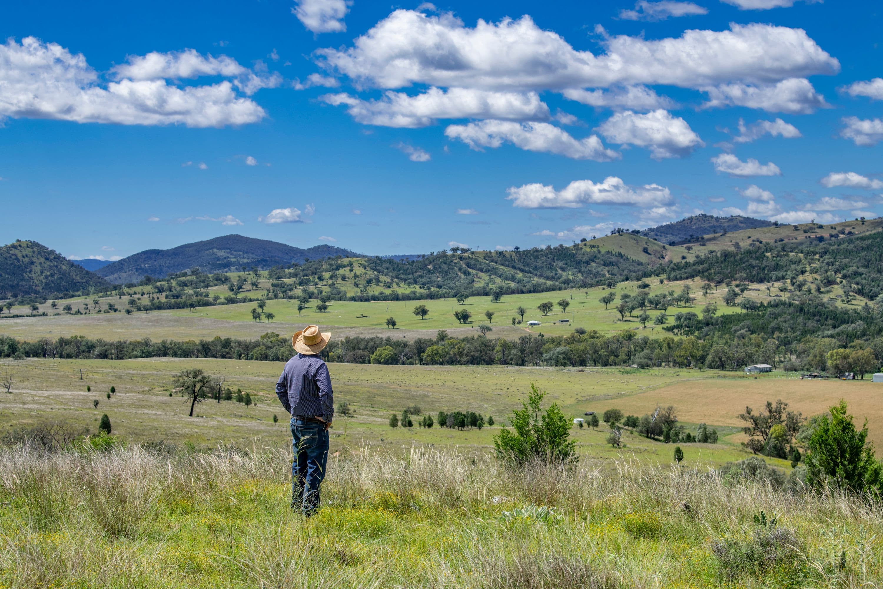 864 Mole River Road, Tenterfield NSW 2372, Tenterfield - Image 1