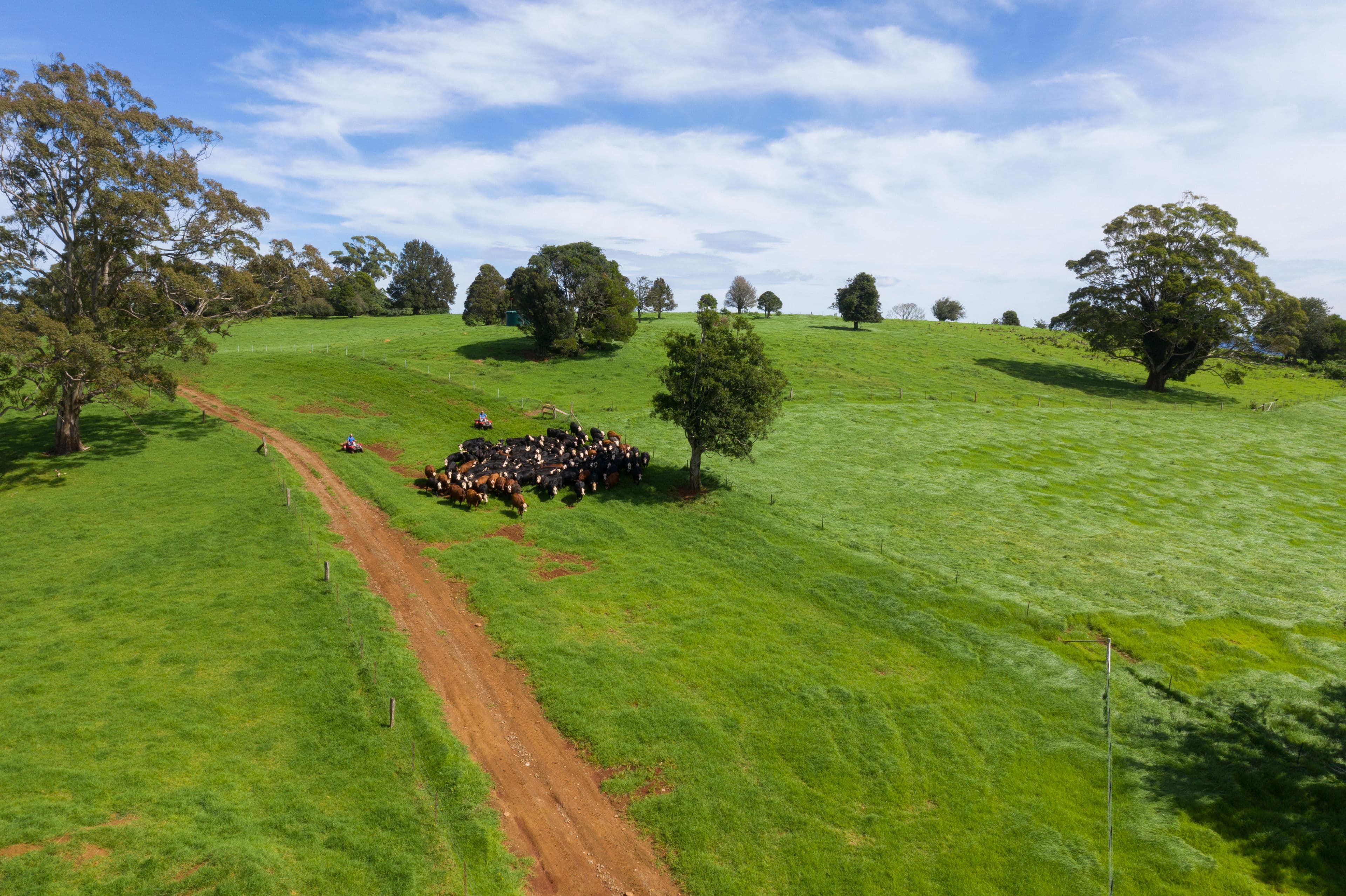 106 Harveys Road, Dorrigo NSW 2453, Dorrigo - Image 1