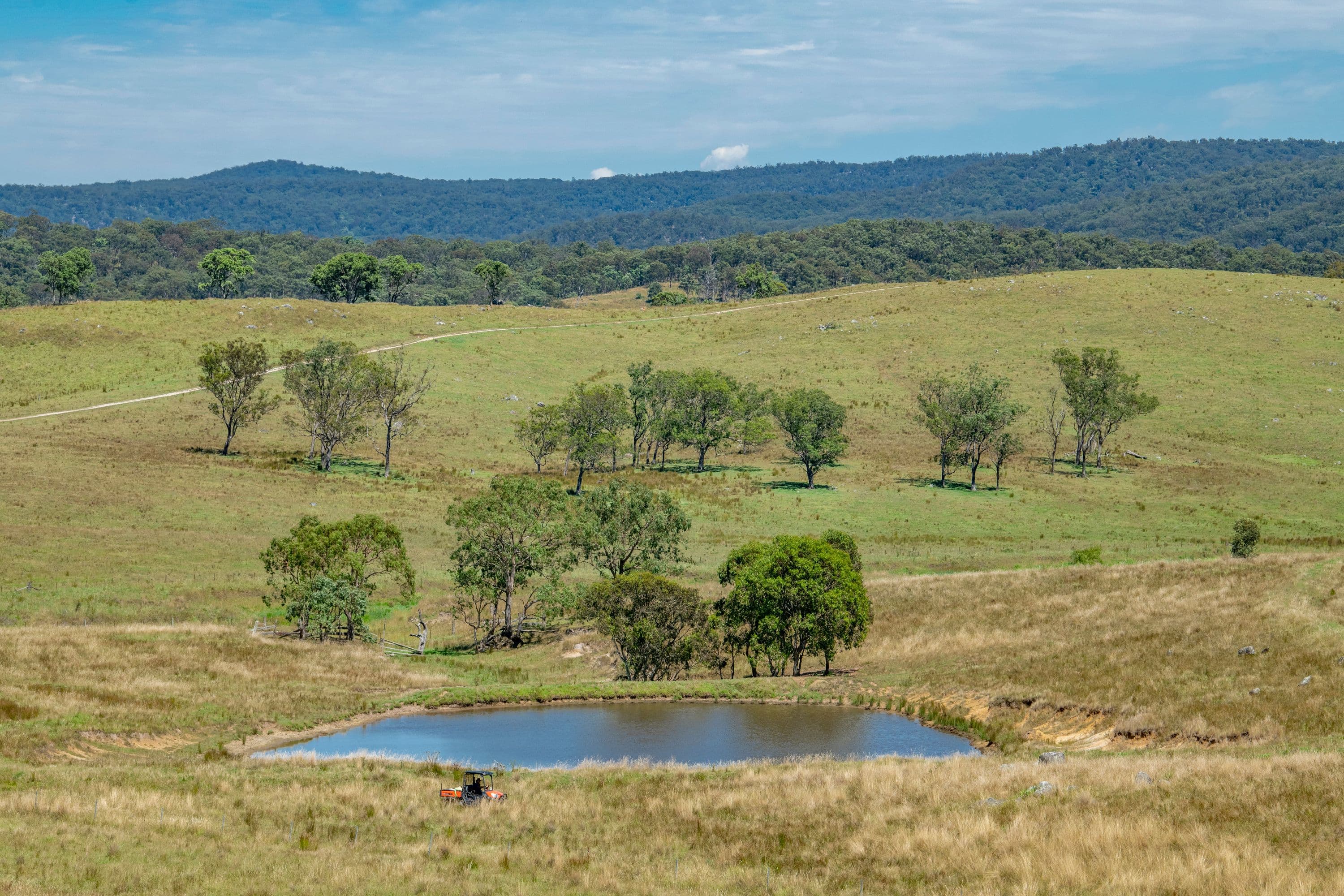 53 Snake Creek Road, Tenterfield NSW 2372, Tenterfield - Image 1