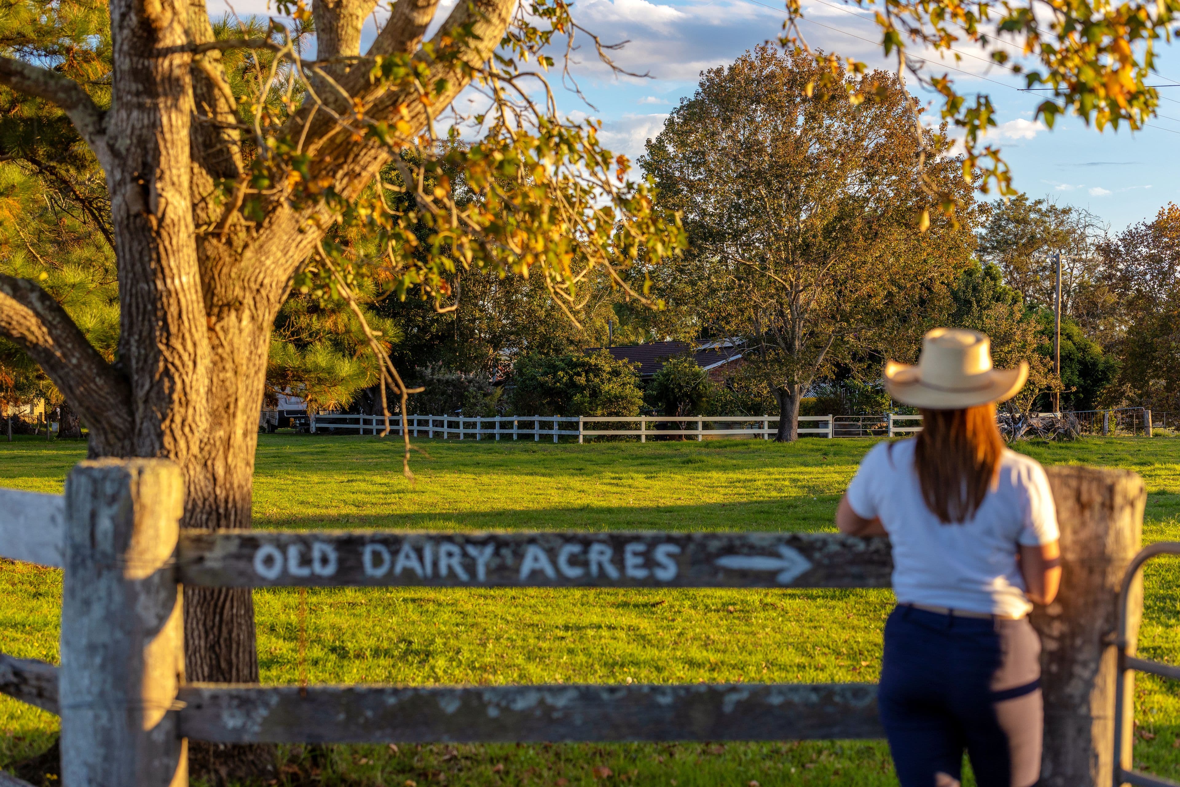 16 Hayes Lane, Taree NSW 2430, Taree - Image 1