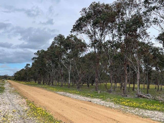 Martup Downs, Leggoe Road, Beaufort River WA 6394, Beaufort River - Image 1