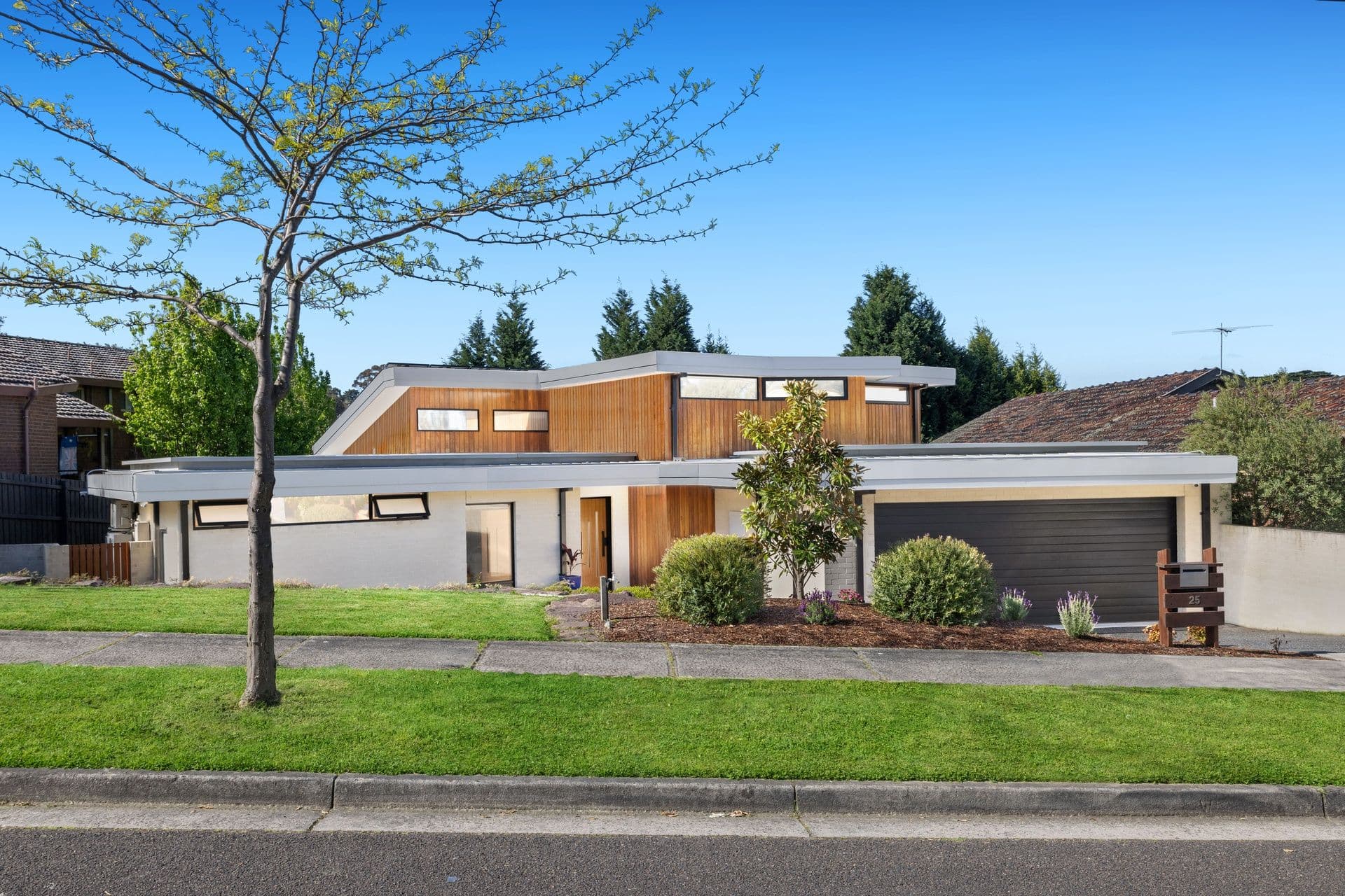 25 Coltain Street, Vermont South VIC 3133, Vermont South - Image 1