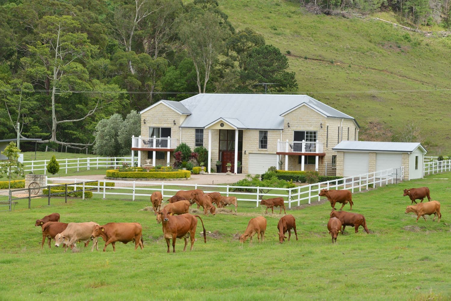 1179 Kilcoy Beerwah Road, Cedarton QLD 4514, Cedarton - Image 1