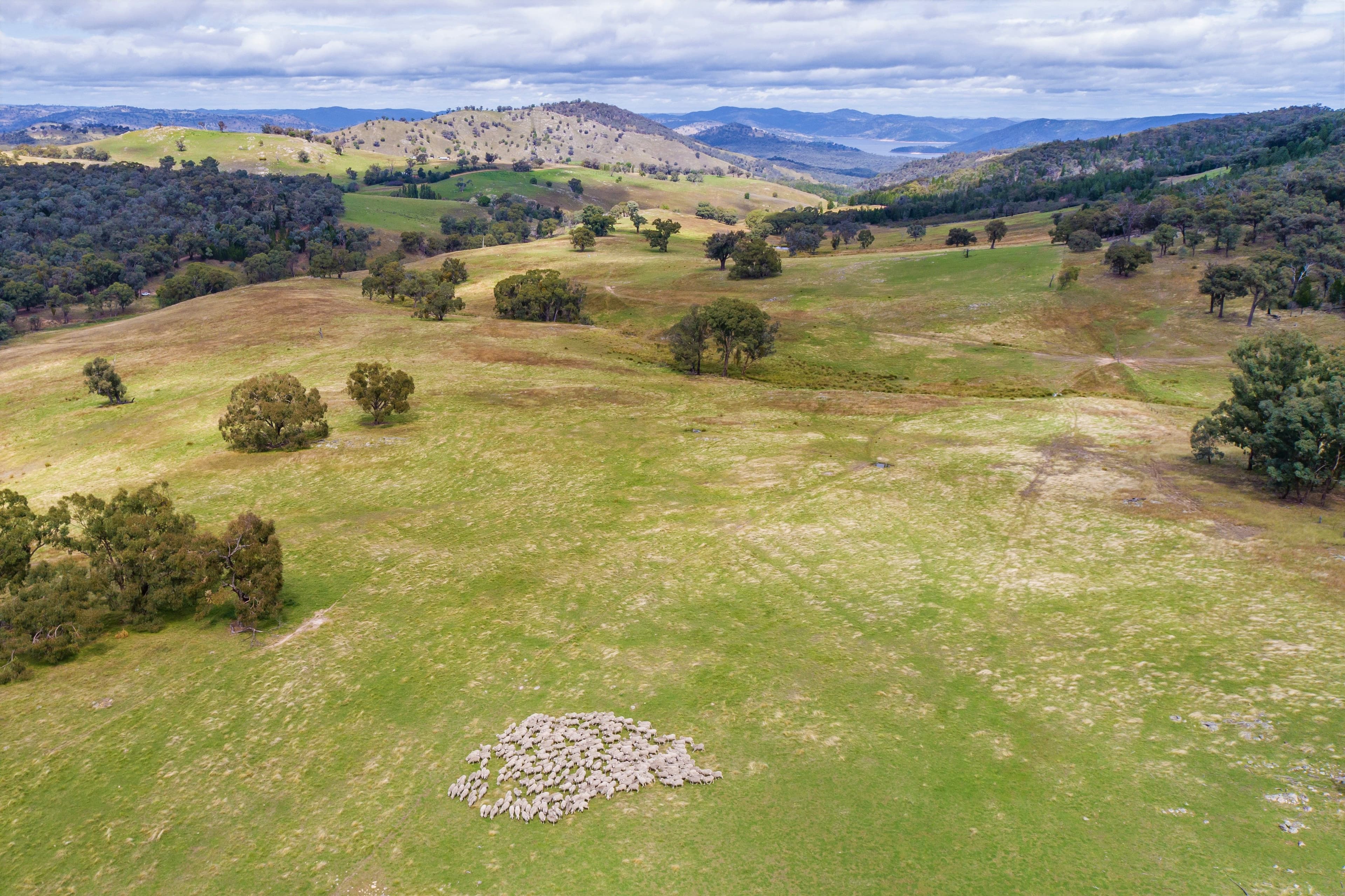 "Goonumburrah" Quartpot Road (Roseberg), Woodstock NSW 2793, Woodstock - Image 1