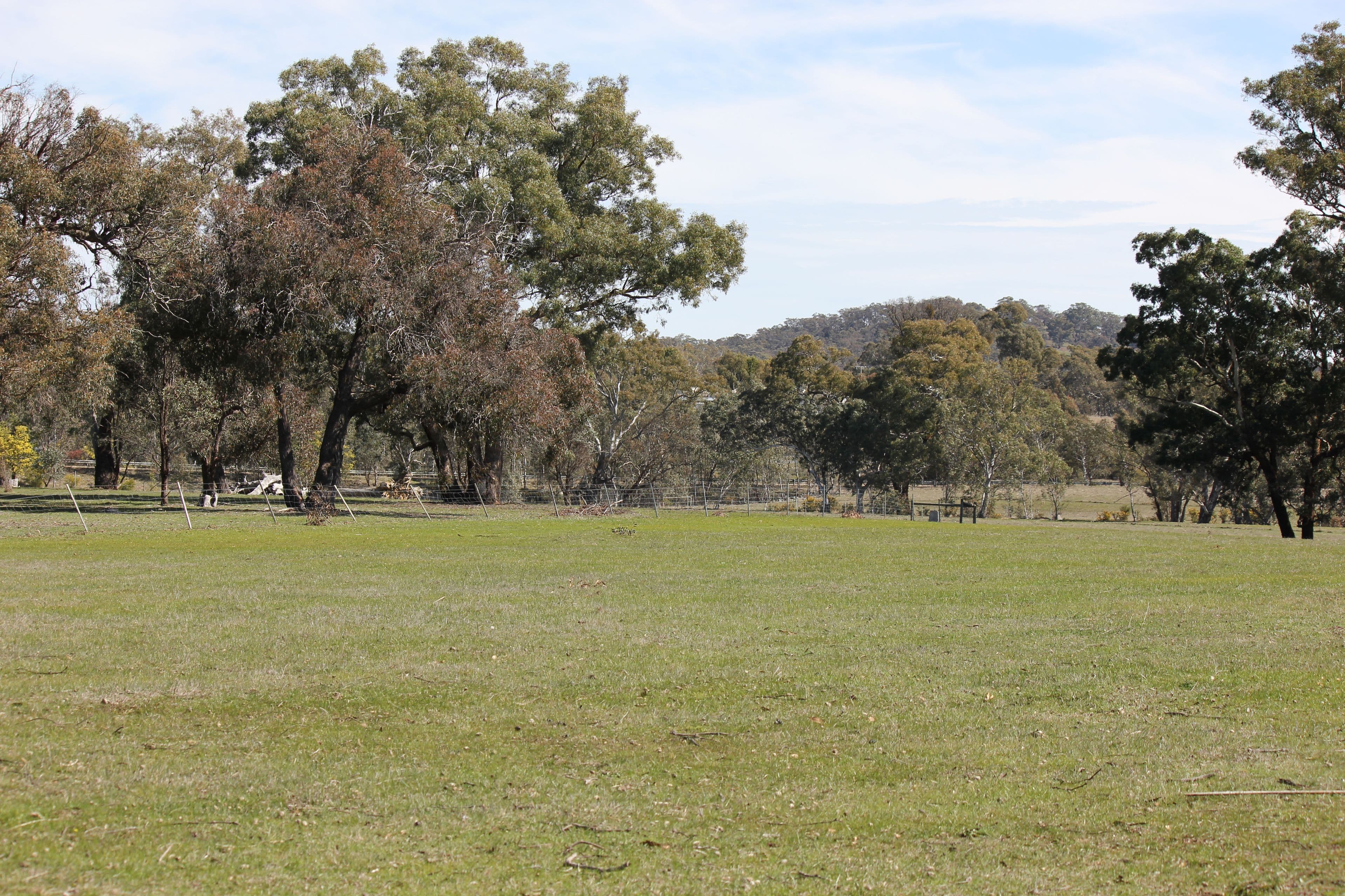Lot 46 & 47 Pollards Road, ELPHINSTONE VIC 3448, Elphinstone - Image 1