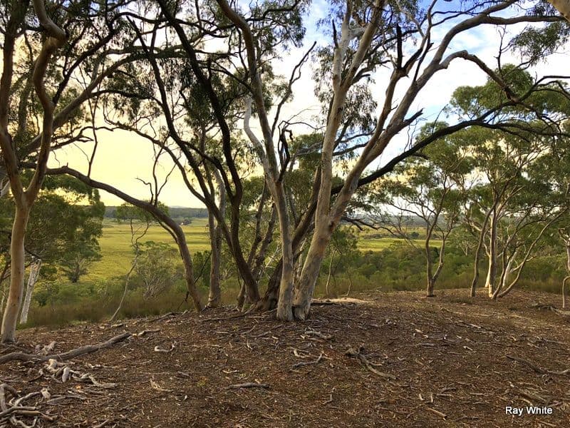 50 Stewarts Crossing Road, Braidwood NSW 2622, Braidwood - Image 1