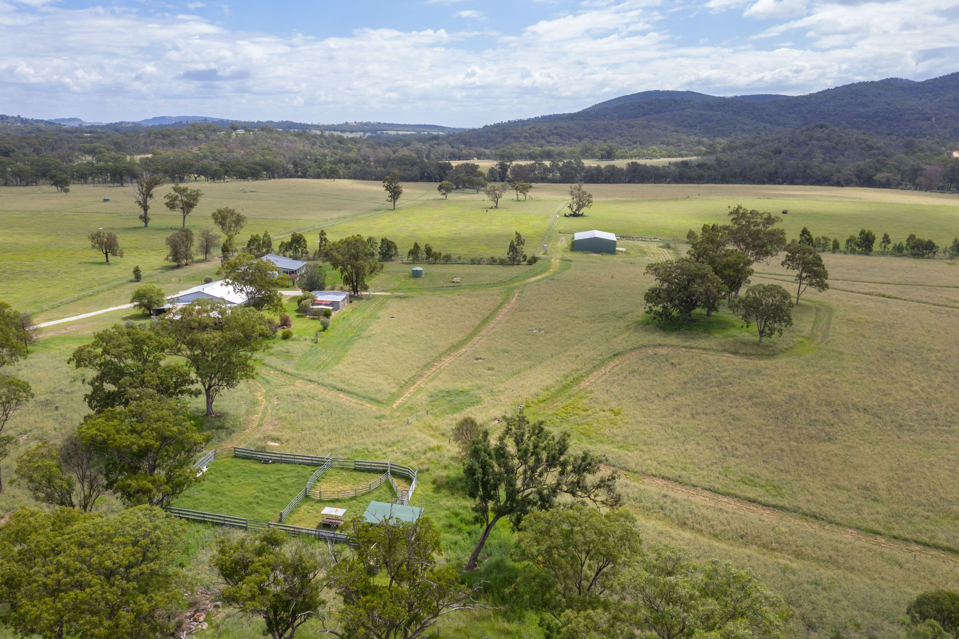 49 Sawyers Gully Road, Tenterfield NSW 2372, Tenterfield - Image 1