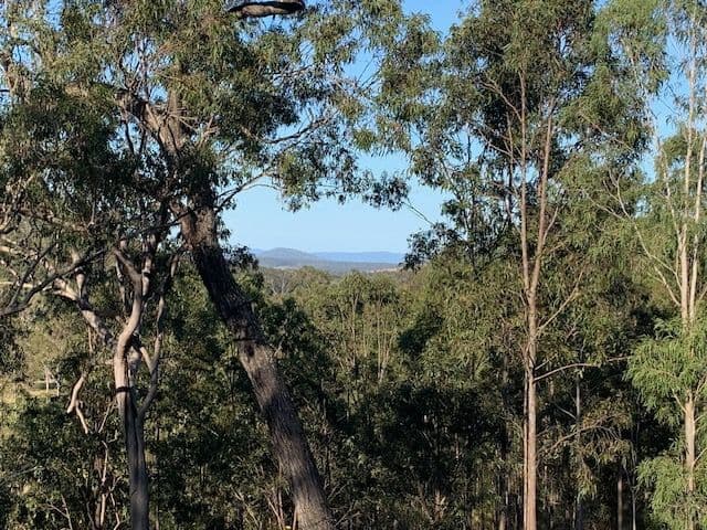 1517 Buaraba Creek Road, Buaraba QLD 4311, Buaraba - Image 1