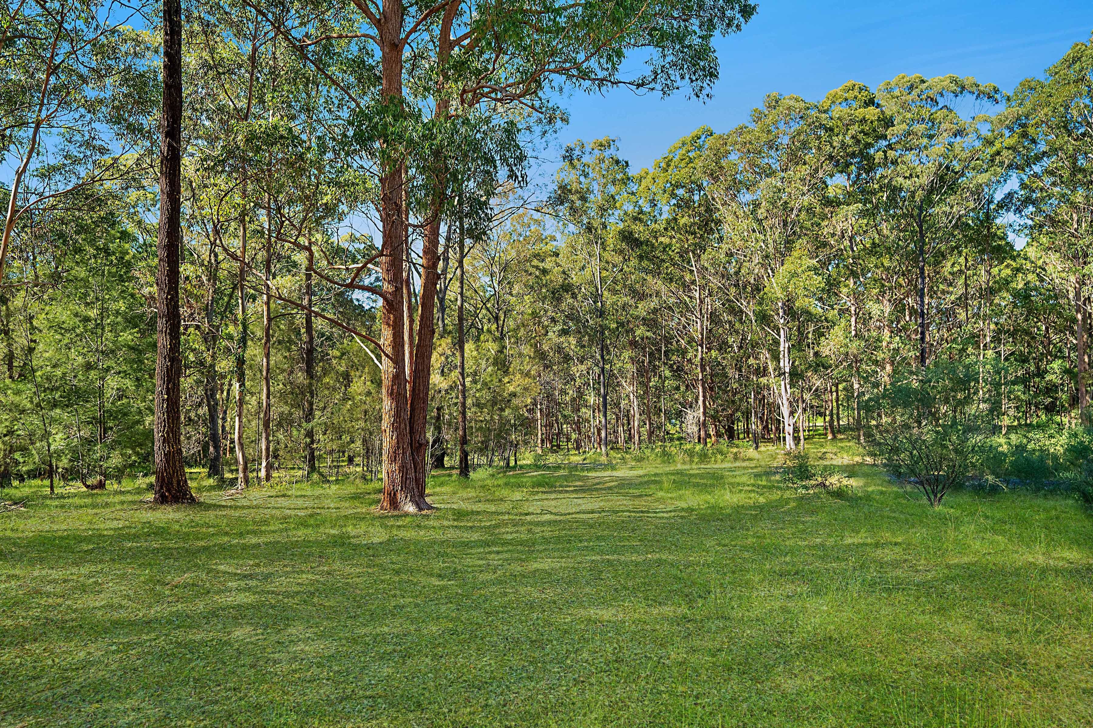 658 Mandalong Road, Mandalong NSW 2264, Mandalong - Image 1