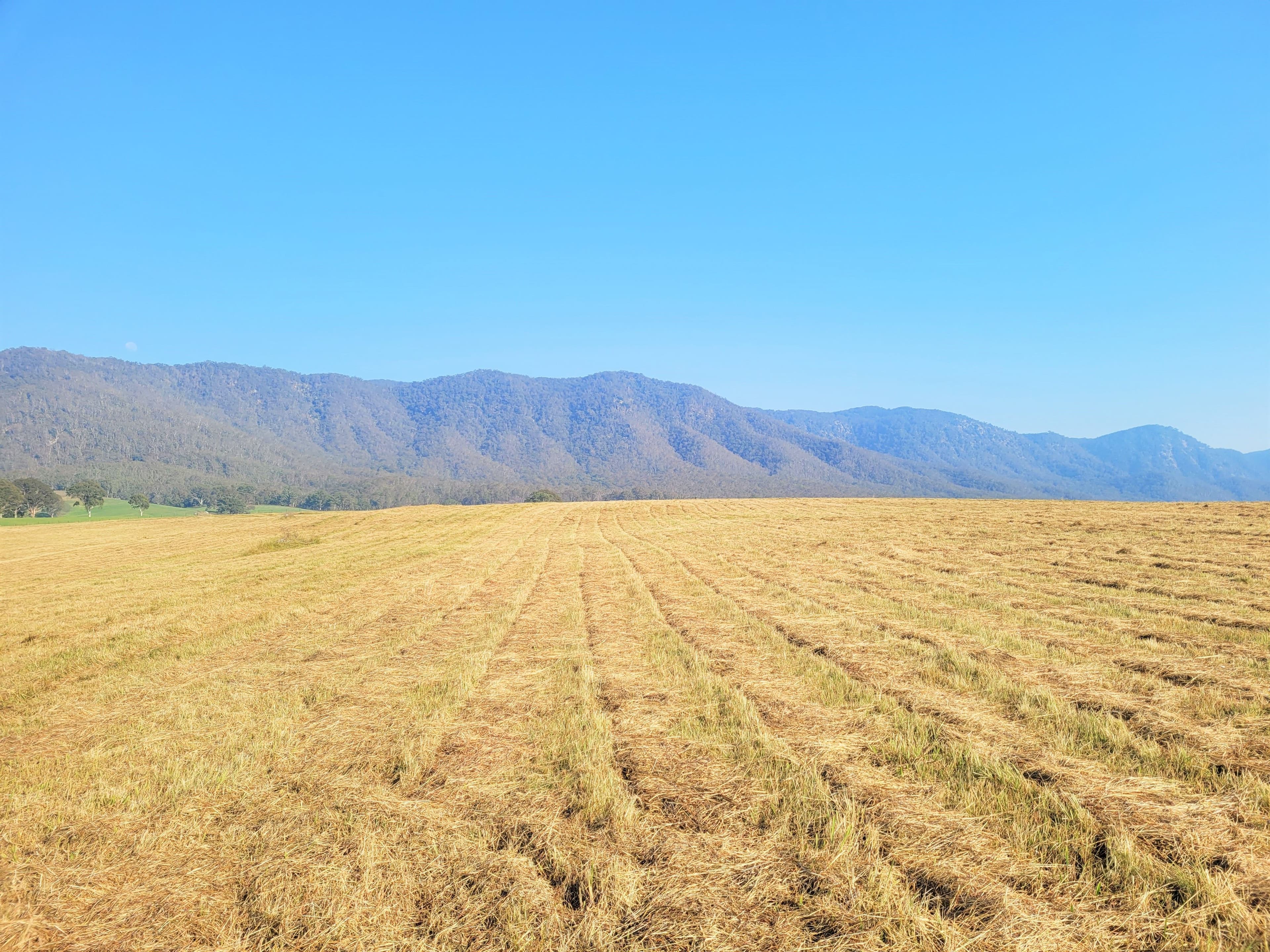 1 Catholic Cemetery Road, Araluen NSW 2622, Araluen - Image 1