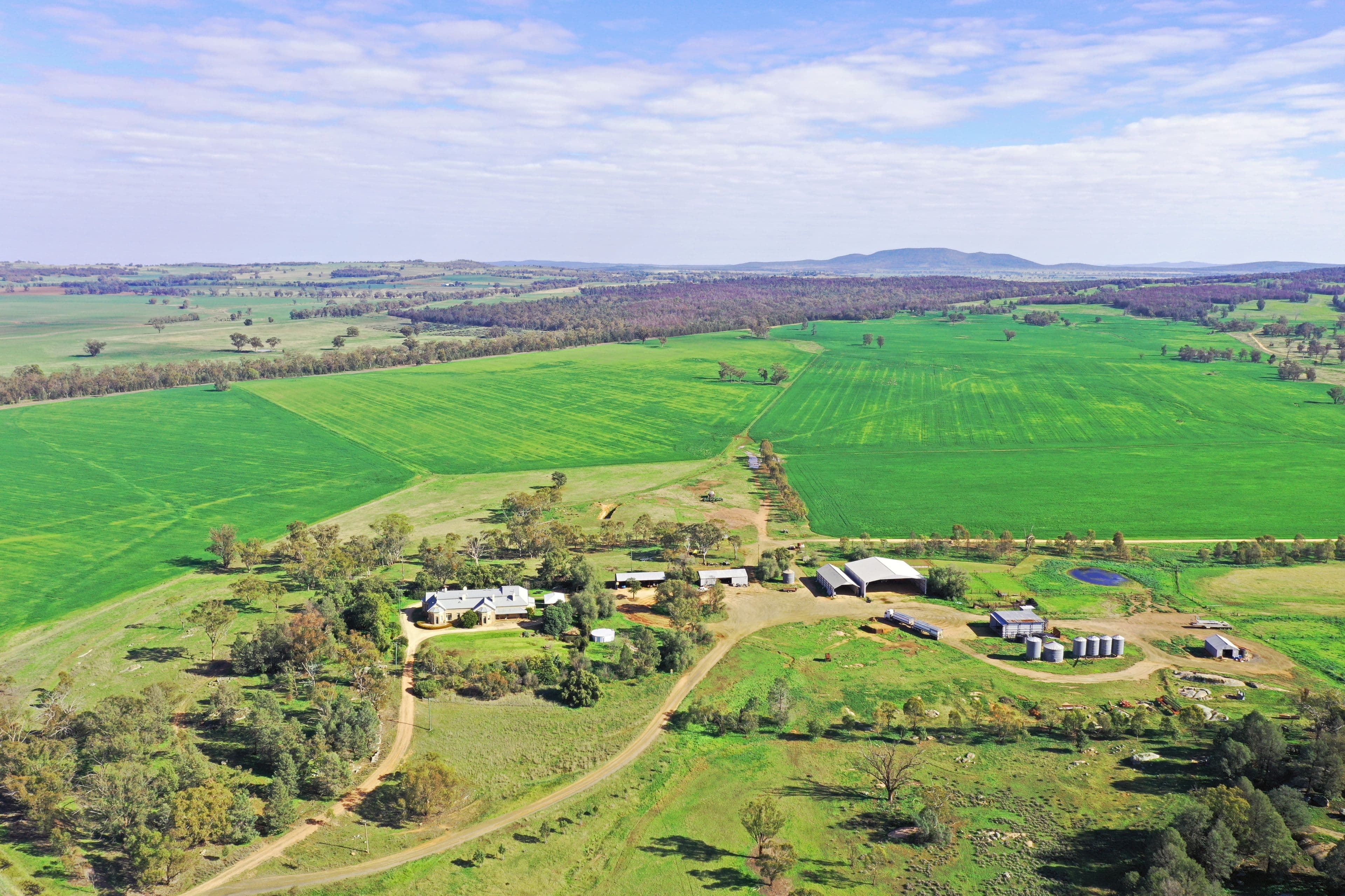Grenfell NSW 2810, Grenfell - Image 1