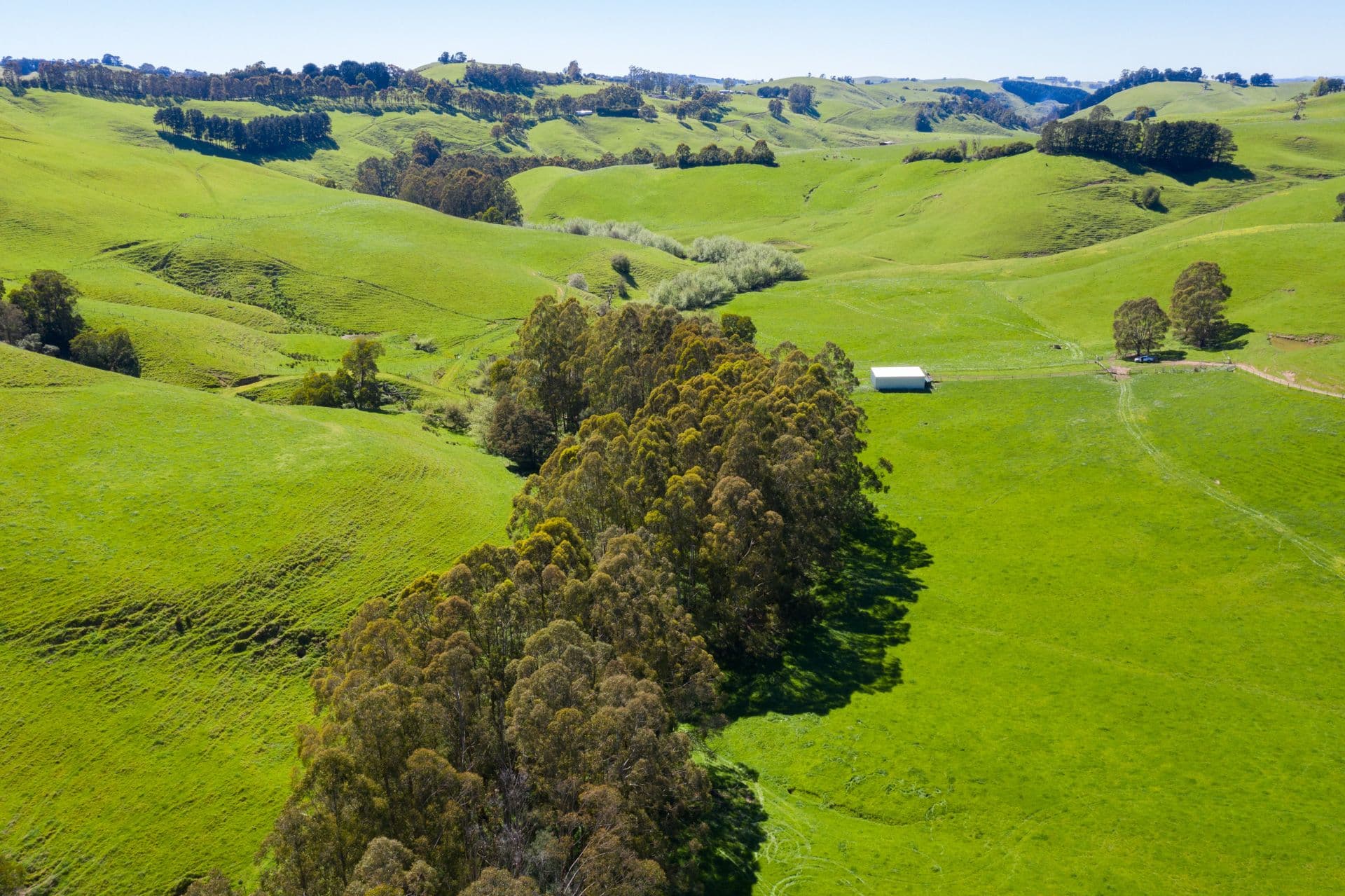 156 Fitzgeralds Road, Arawata VIC 3951, Arawata - Image 1
