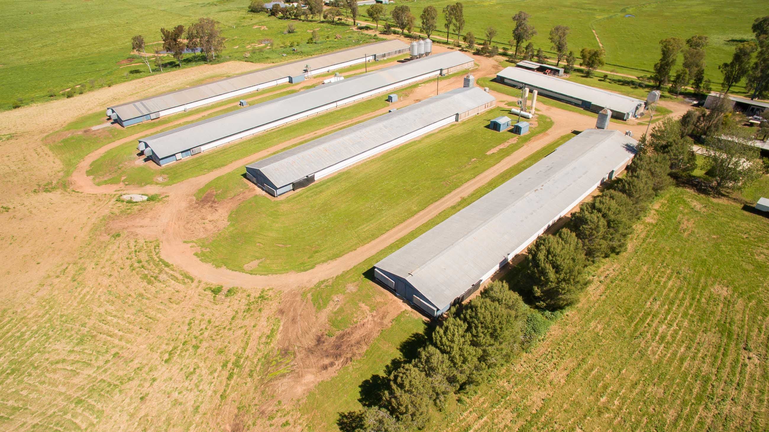 126 Byamee Lane, Tamworth NSW 2340, Tamworth - Image 1