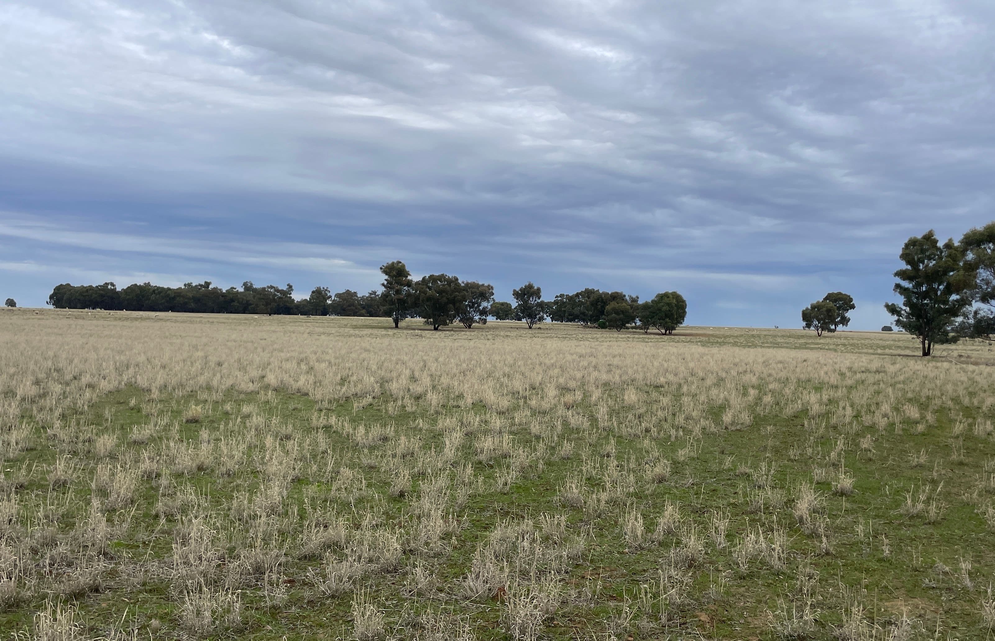 'East Gathan' 509 Gathan Road, Deniliquin NSW 2710, Deniliquin - Image 1