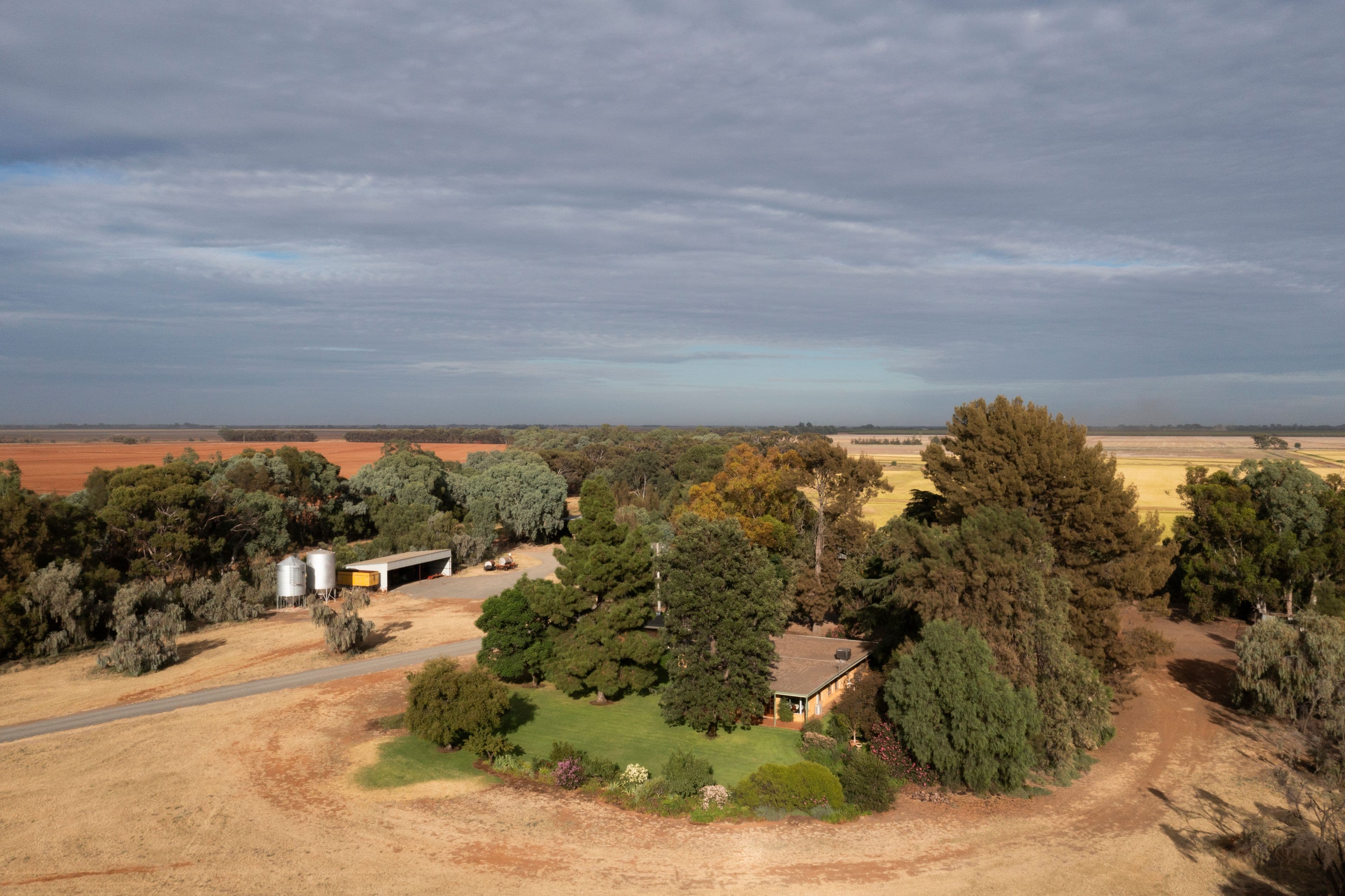242 Barber Road, Benerembah NSW 2680, Benerembah - Image 1