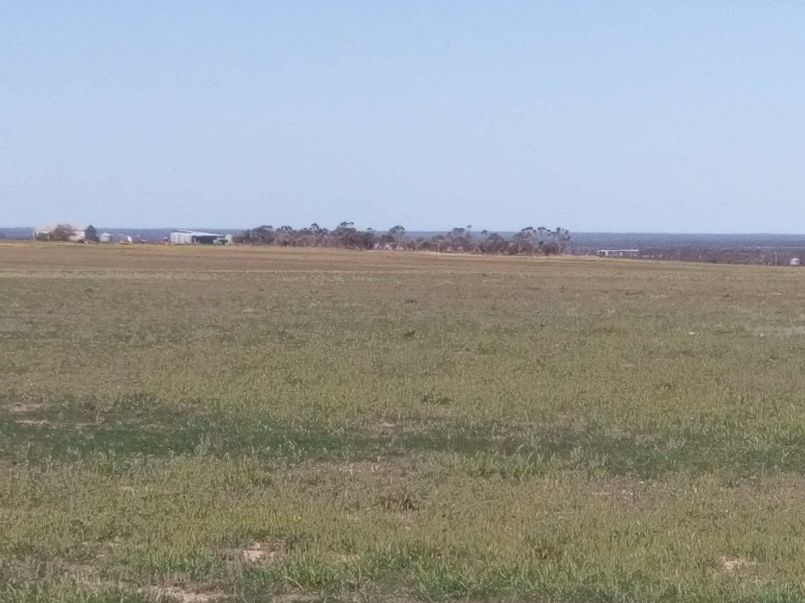 Pozzi Farm Swan Road and Esperance Coolgardie Highway, Salmon Gums WA 6445, Salmon Gums - Image 1