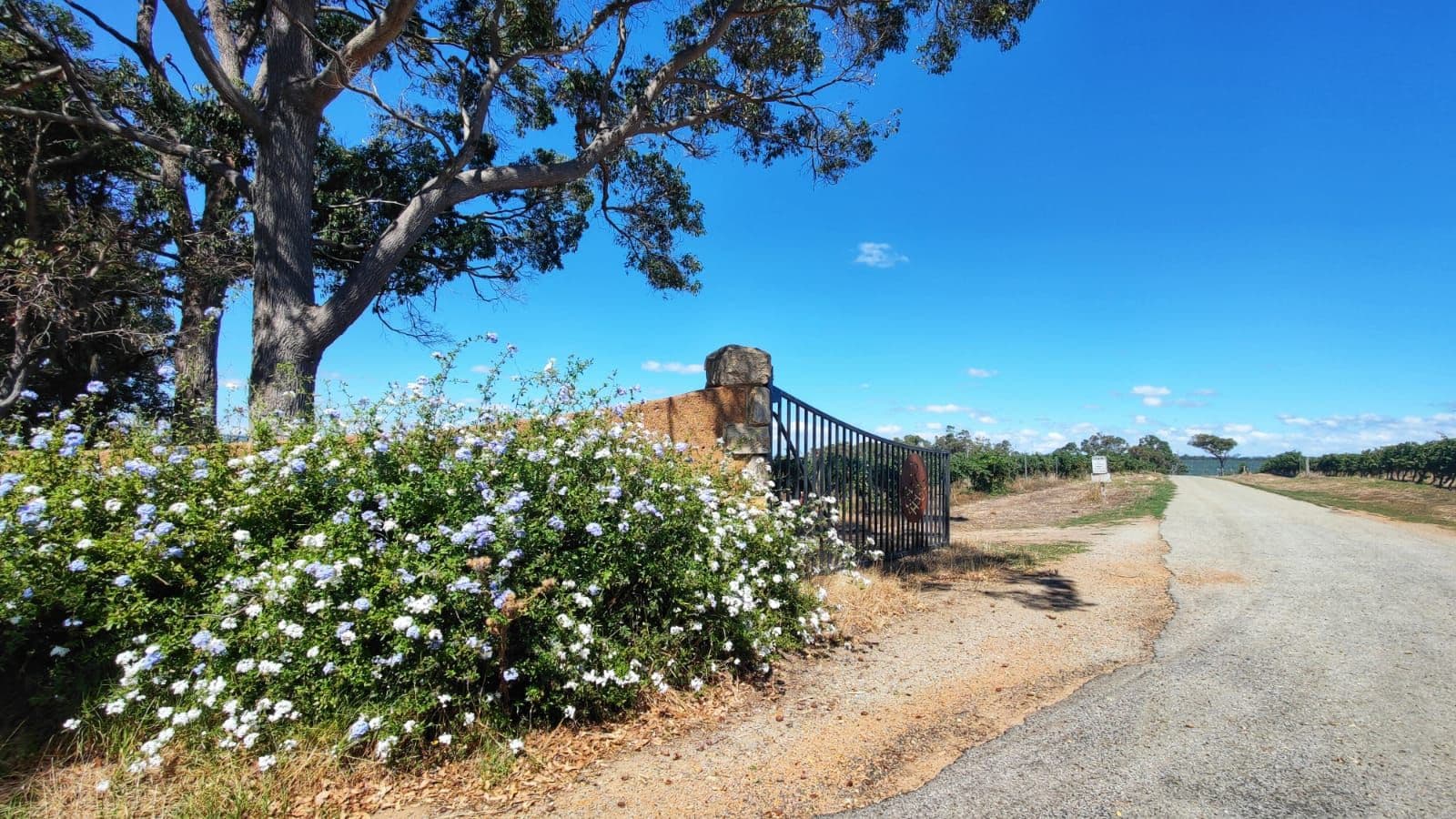 153 Jones Road, Mount Barker WA 6324, Mount Barker - Image 1