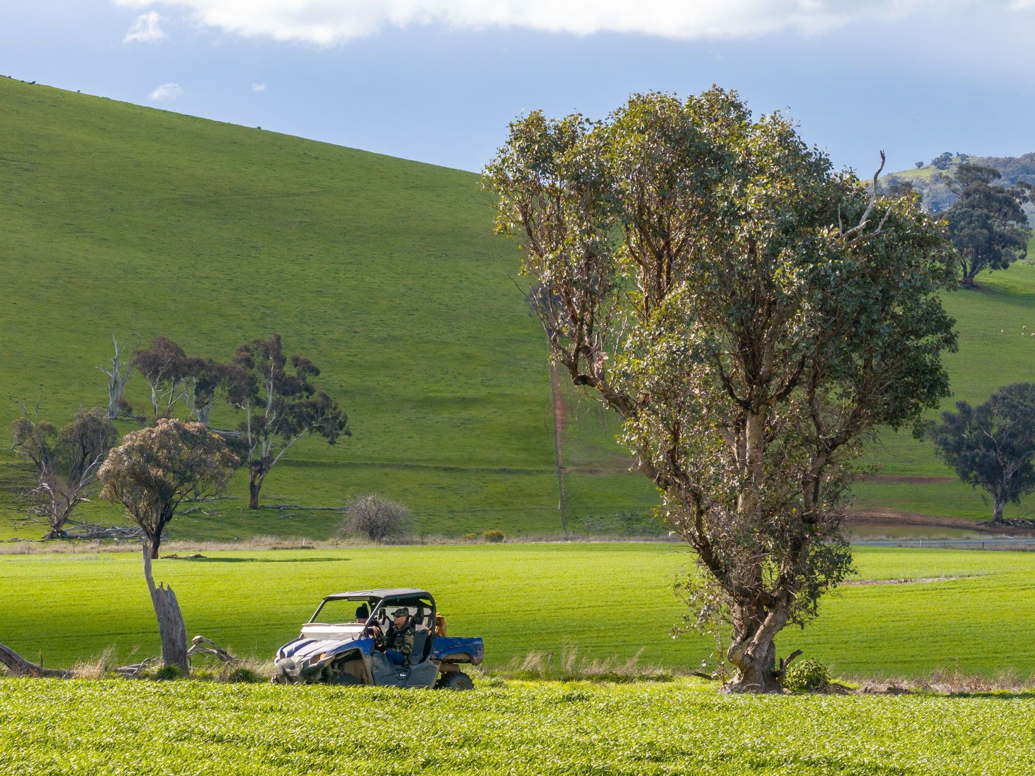 'Darmody's', 969 Brial Road, Boorowa NSW 2586, Boorowa - Image 1