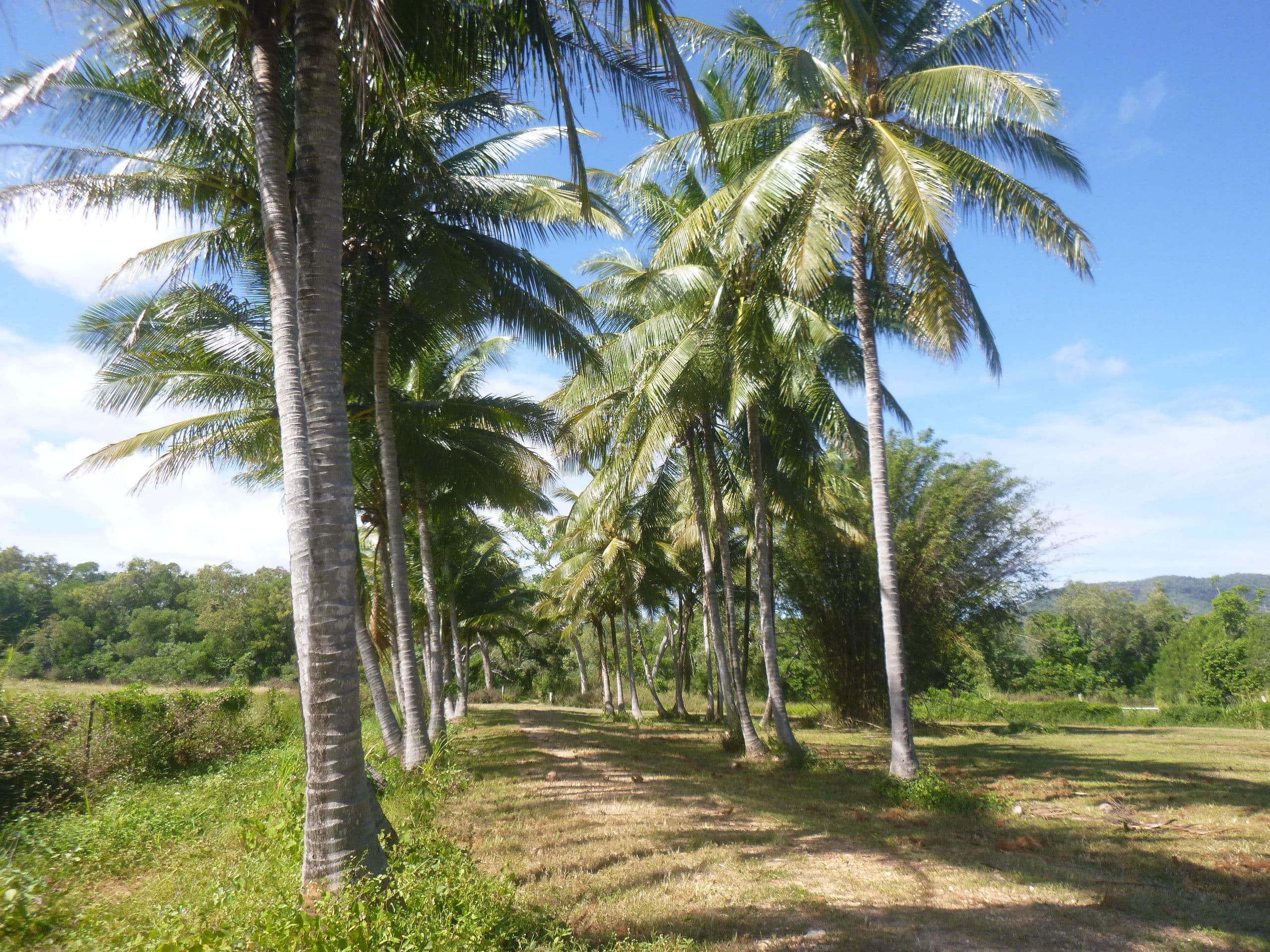 70 Holzapfel Road, Cooktown QLD 4895, Cooktown - Image 1