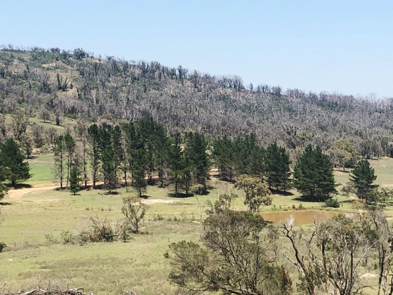 Lot 1 Mount Fairy Road, Mount Fairy NSW 2580, Mount Fairy - Image 1