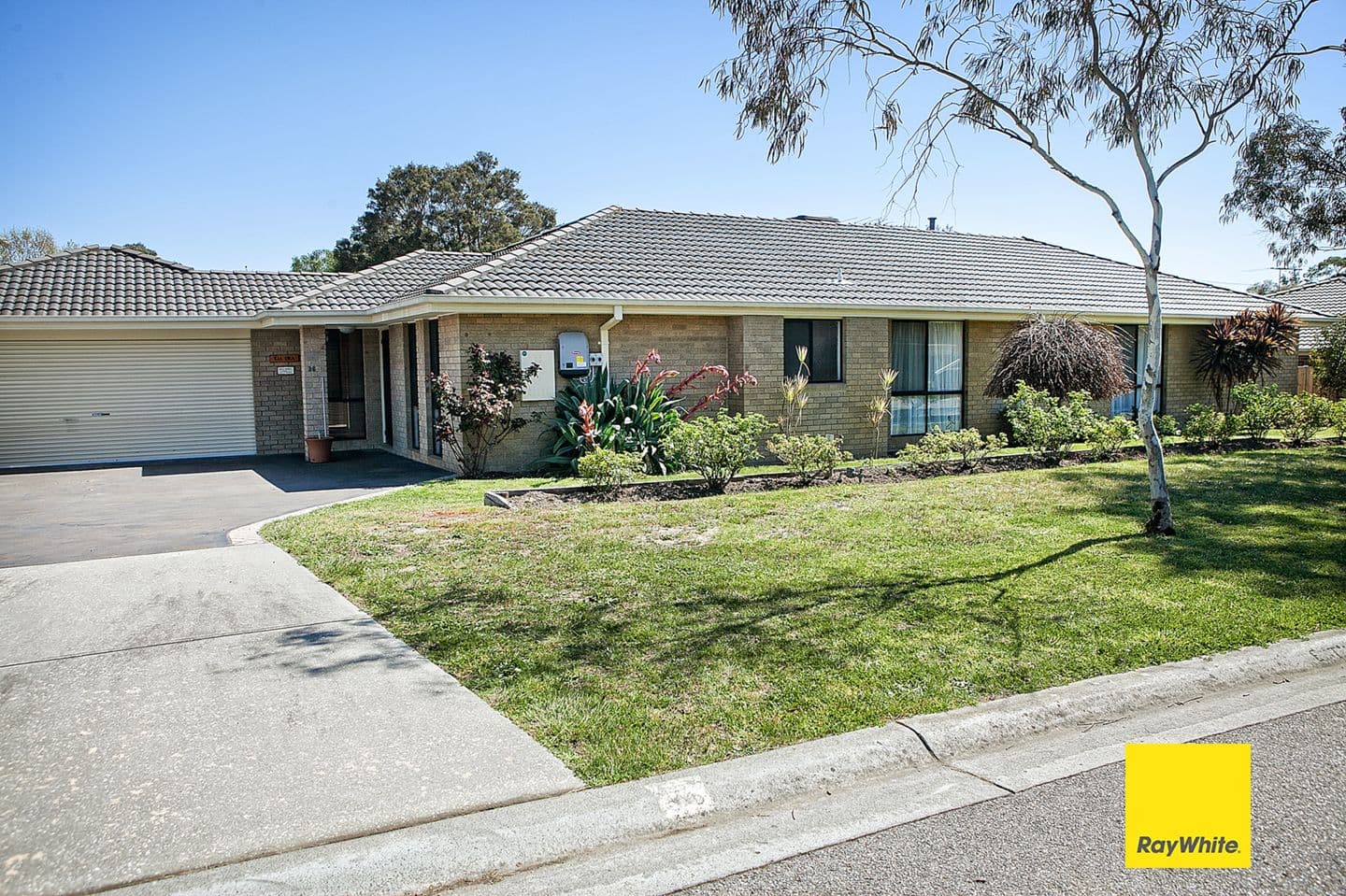 36 Trinity Drive, Langwarrin VIC 3910, Langwarrin - Image 1
