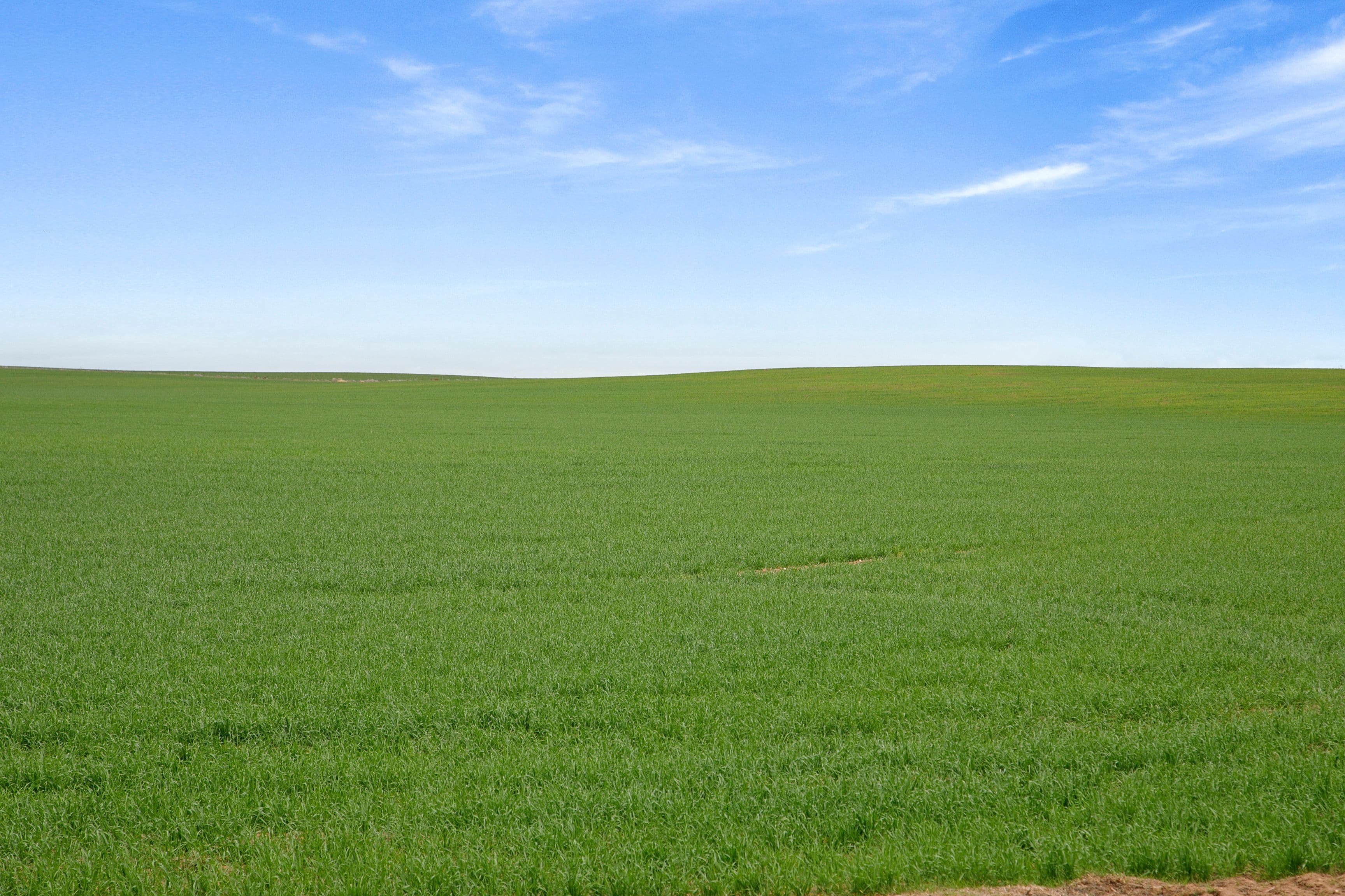'Sluggetts' Hewetts Road, Alford SA 5555, Alford - Image 1