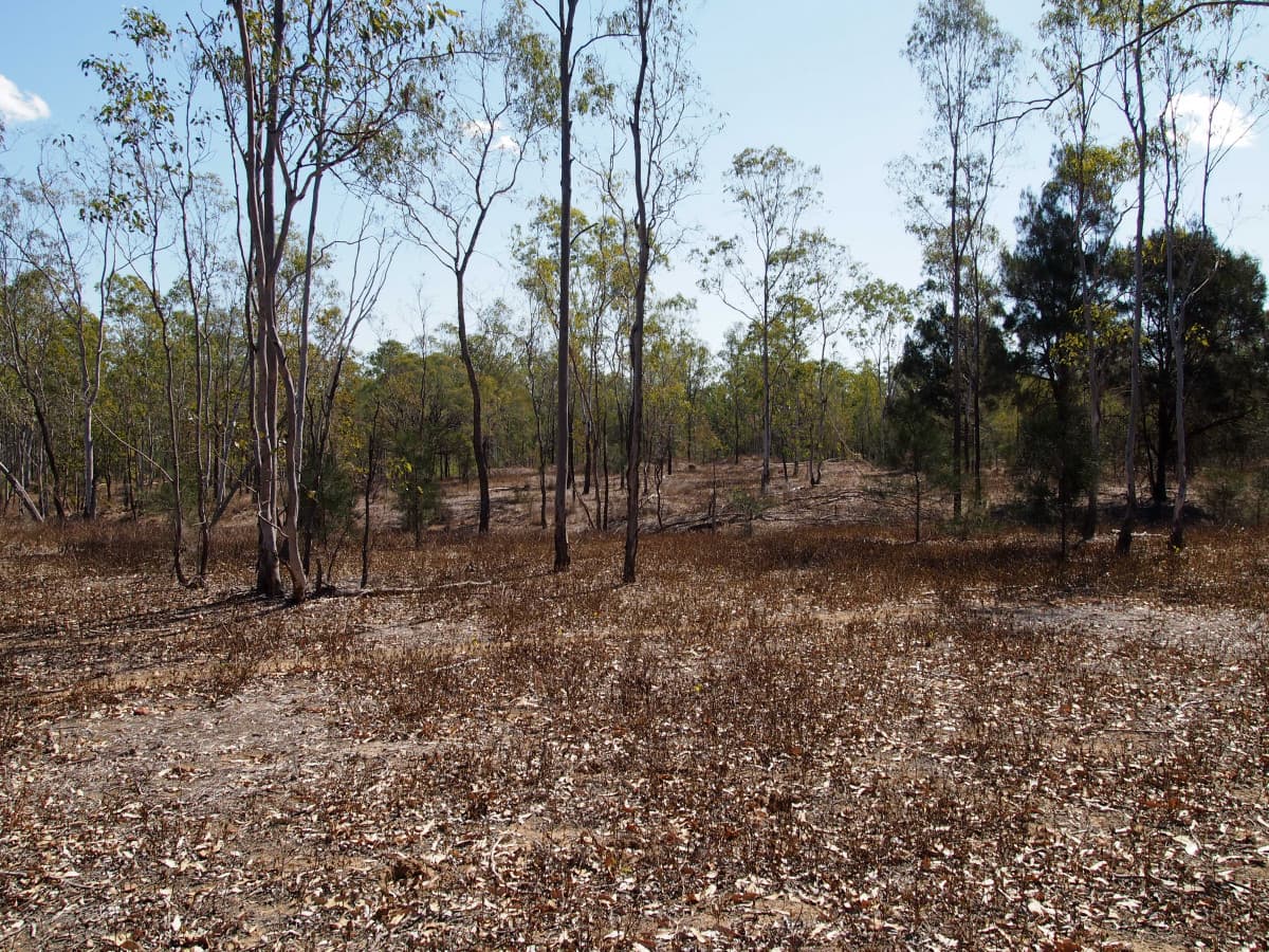 2 Milman Road, Milman QLD, Milman - Image 1