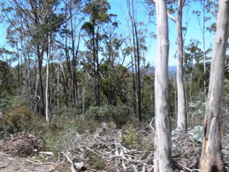 FENTONBURY, TAS, Fentonbury - Image 1
