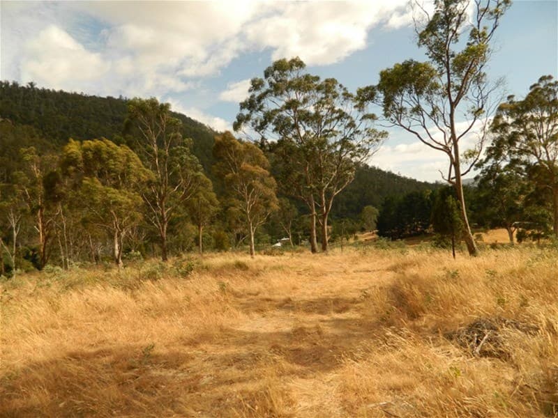 Plenty Valley Rd GLENFERN, TAS, Glenfern - Image 1
