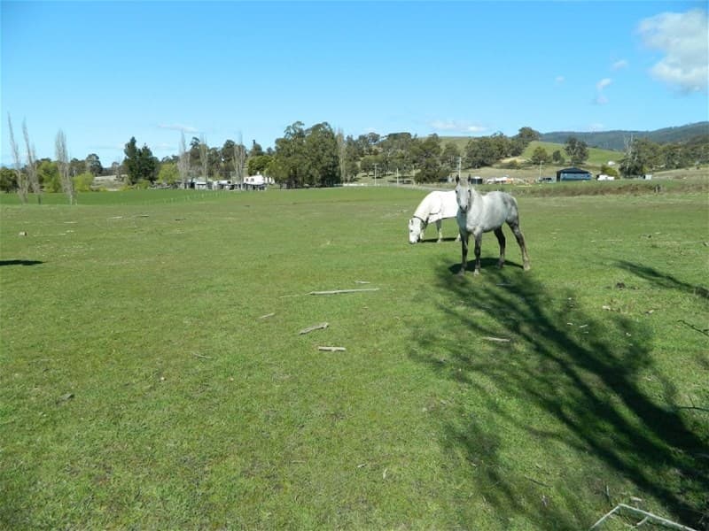 Ellendale Road FENTONBURY, TAS, Fentonbury - Image 1