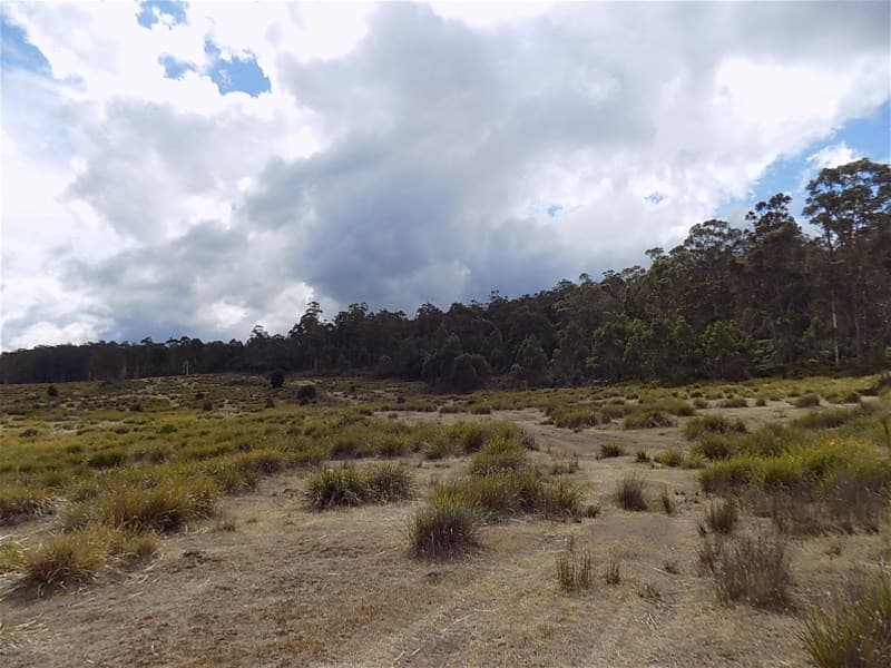 Lot 2 Lot 2 Victoria Valley Road VICTORIA VALLEY, TAS, Victoria Valley - Image 1