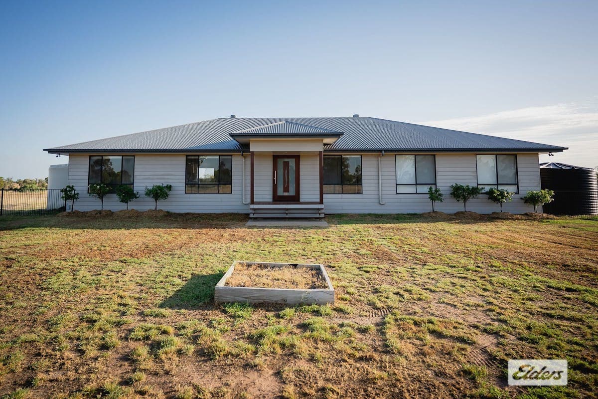 217 Blue Hills Road, Roma, QLD, 4455, Roma - Image 1