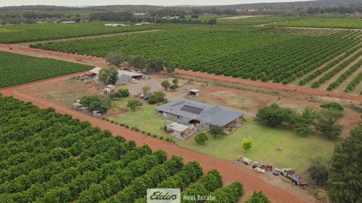 337 Harward Road, Tharbogang, NSW, 2680, Tharbogang - Image 1