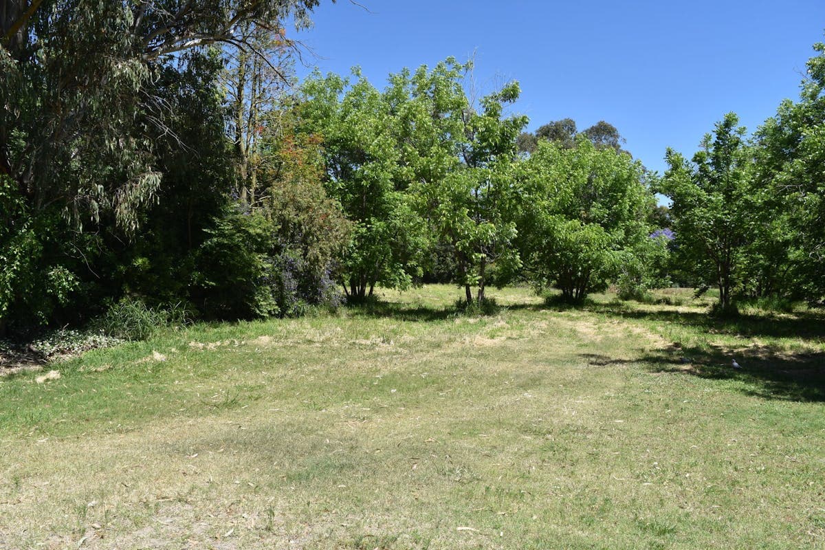 21 Riverview Terrace, Goondiwindi, QLD, 4390, Goondiwindi - Image 1
