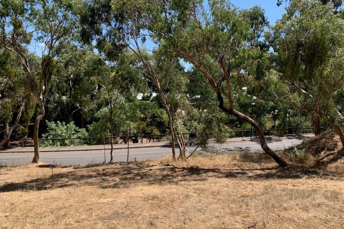 301/Hanlins Road, Clare, SA, 5453, Clare - Image 1