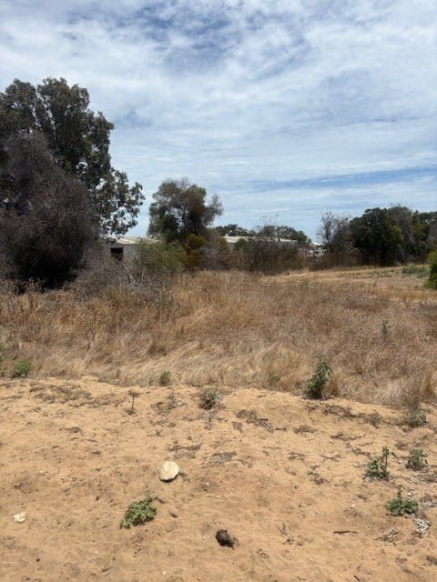 125 Alexander Drive, Glenfield, WA, 6532, Glenfield - Image 1